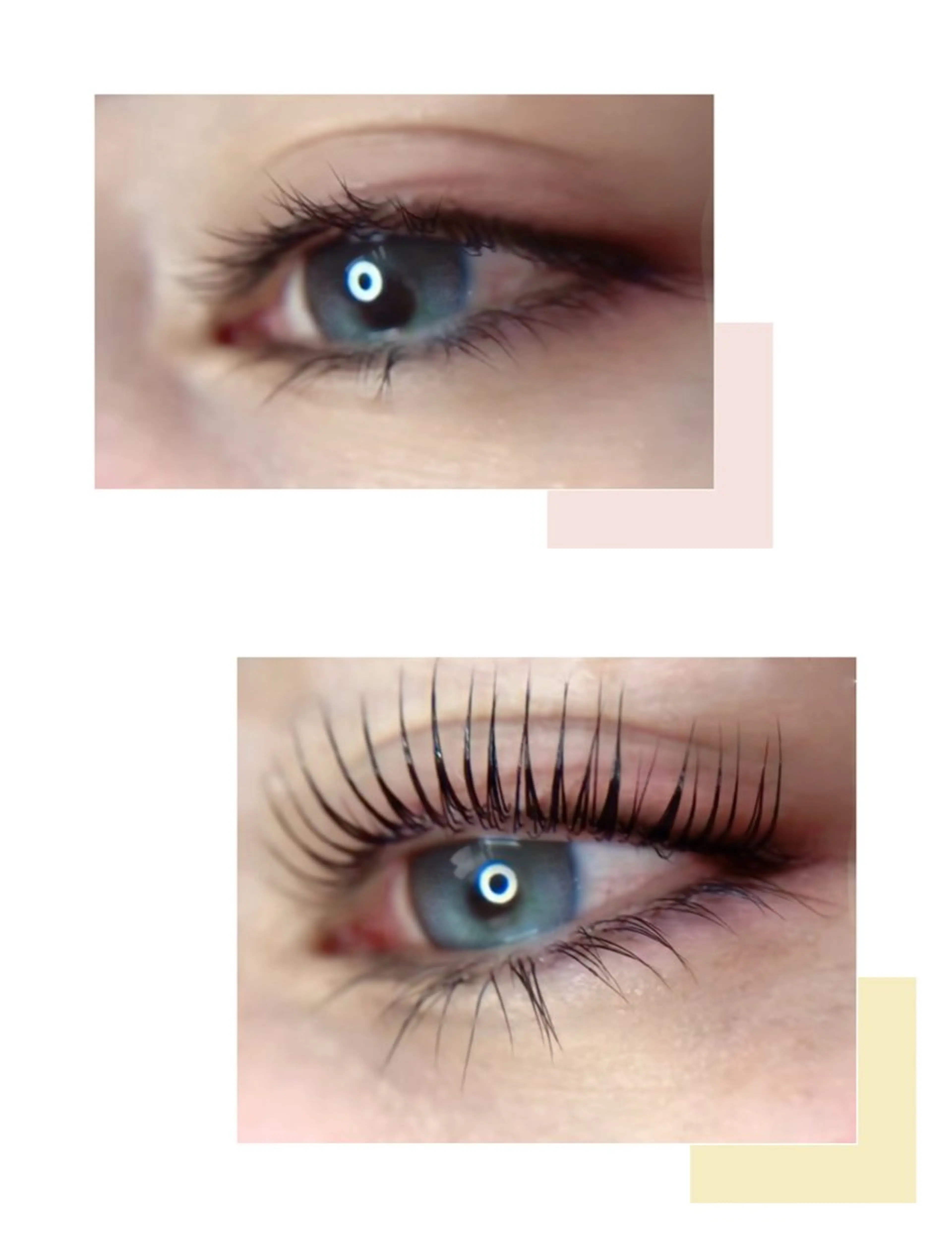 ラッシュリフト上下😻 ケラチンTR(アイシャンプー&コーティング付)の写真