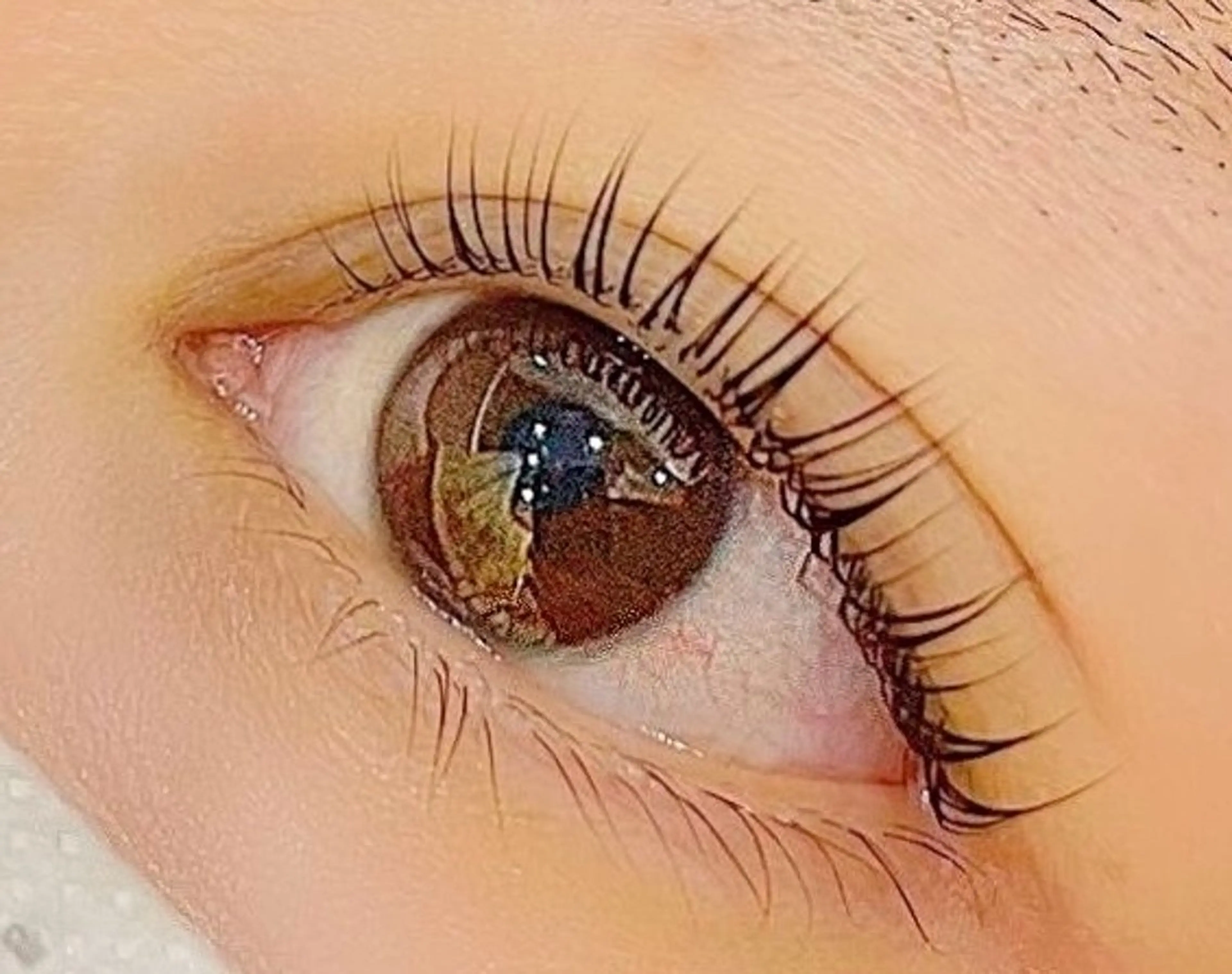 お得❣️まつげパーマ&眉デザインWAX脱毛（パリジェンヌ変更可）の写真