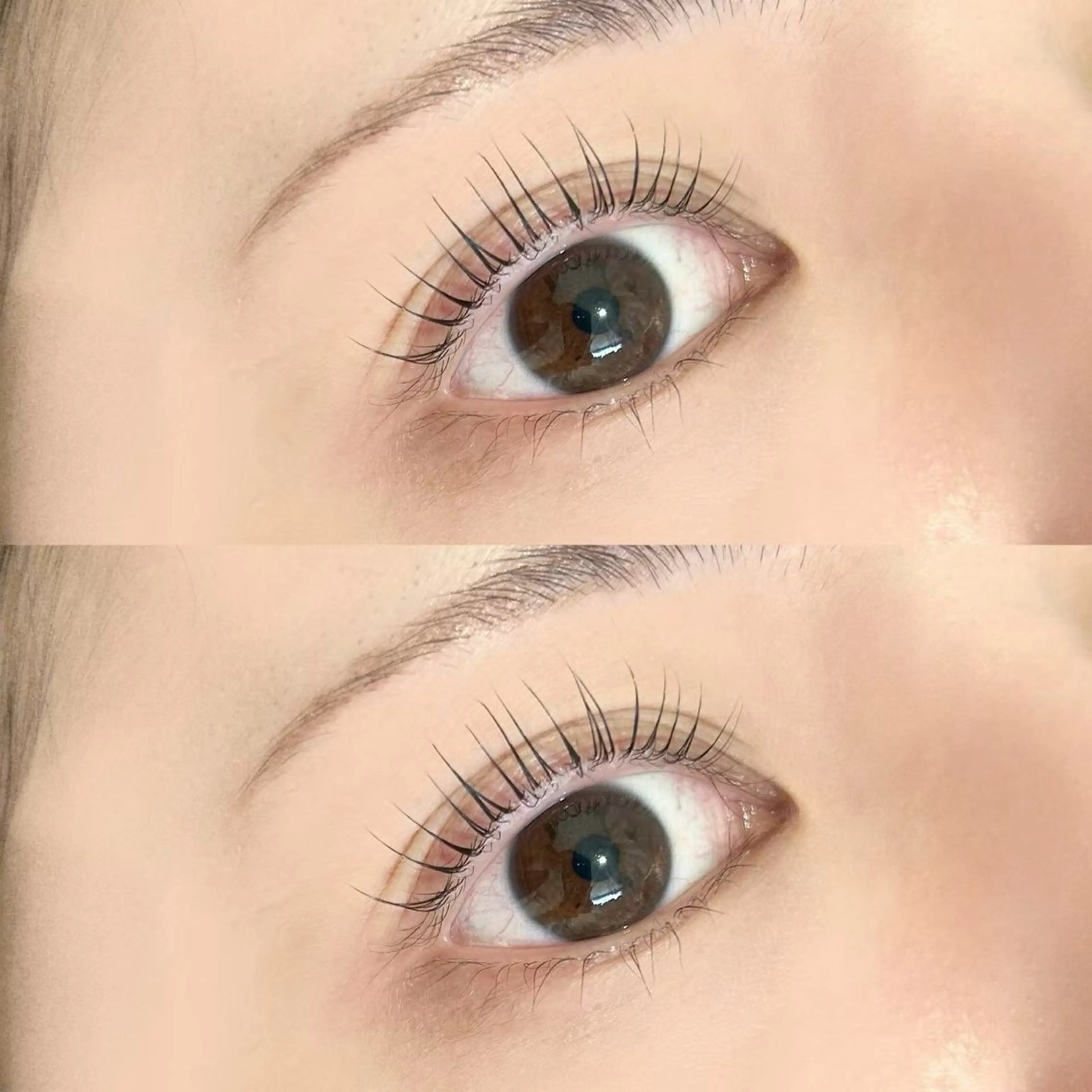 【担当KANO】ラッシュリフト上下 ご新規様限定価格です☘️1日2人限定になります😌JrアイリストKANO限定🫧の写真