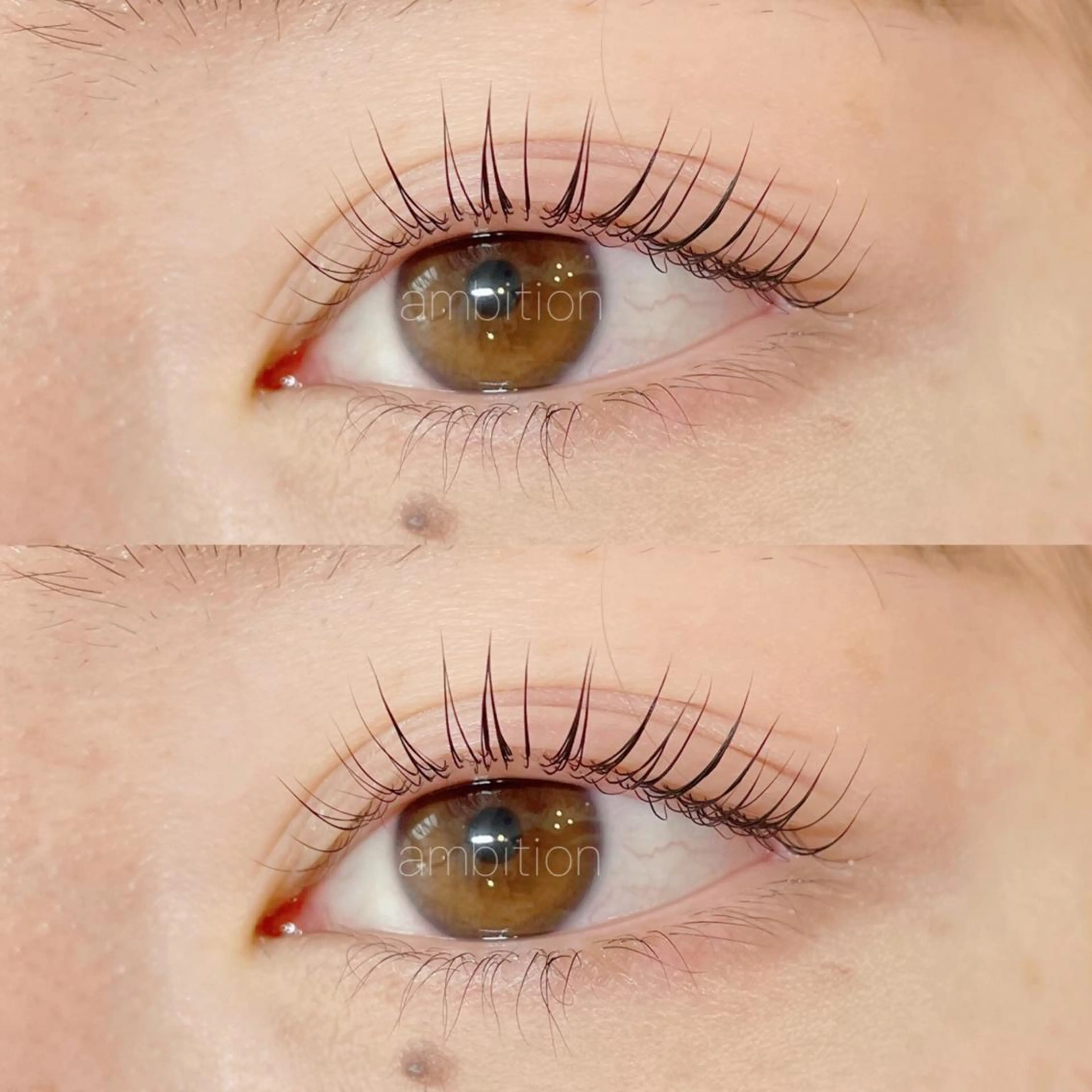 マツエク・マツパ パリジェンヌラッシュリフト デイジーラッシュ 大阪駅前第3ビルのマツエク・マツパデザイン