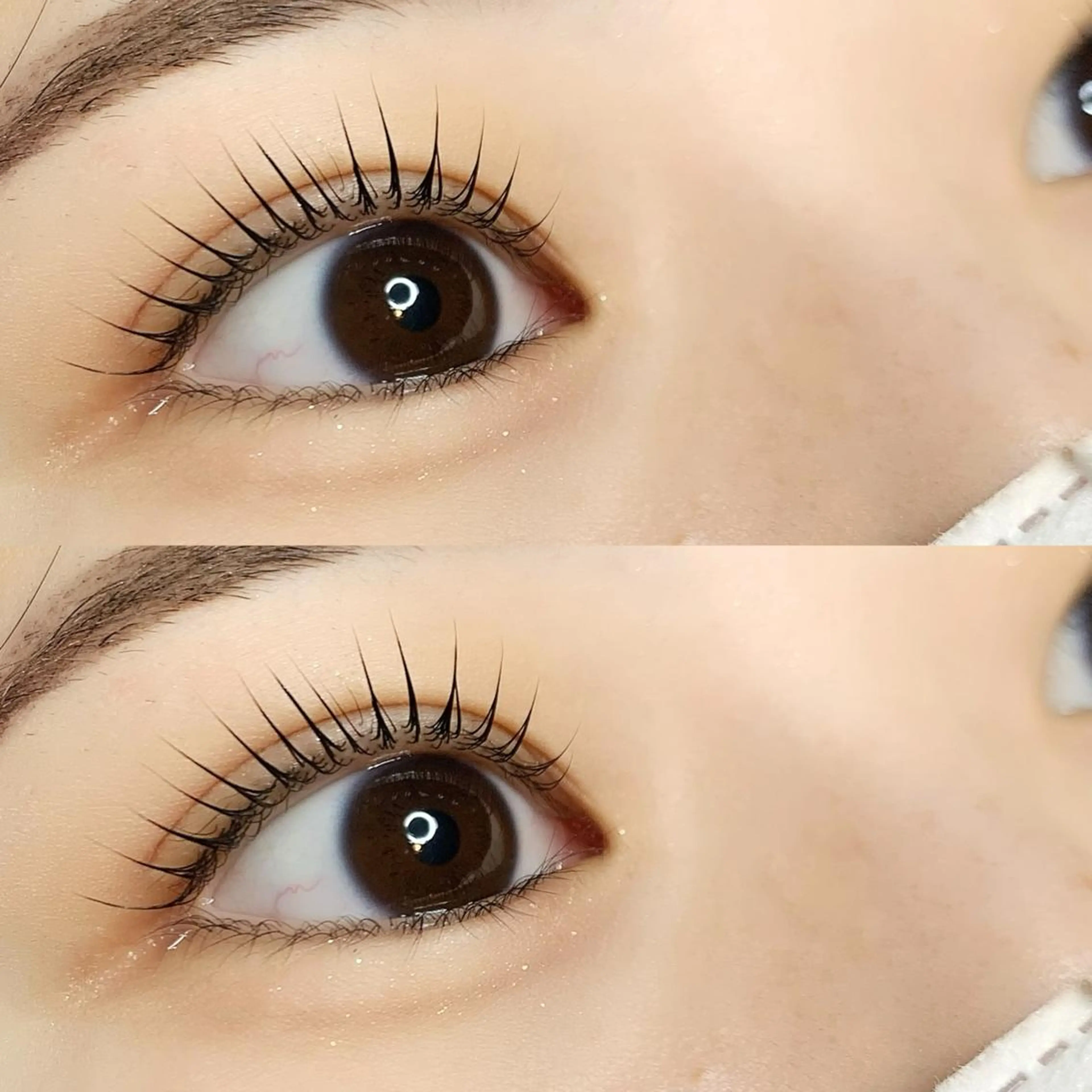 【 17時以降限定 】🩶まつ毛パーマ/ケラチントリートメント付き〰︎の写真