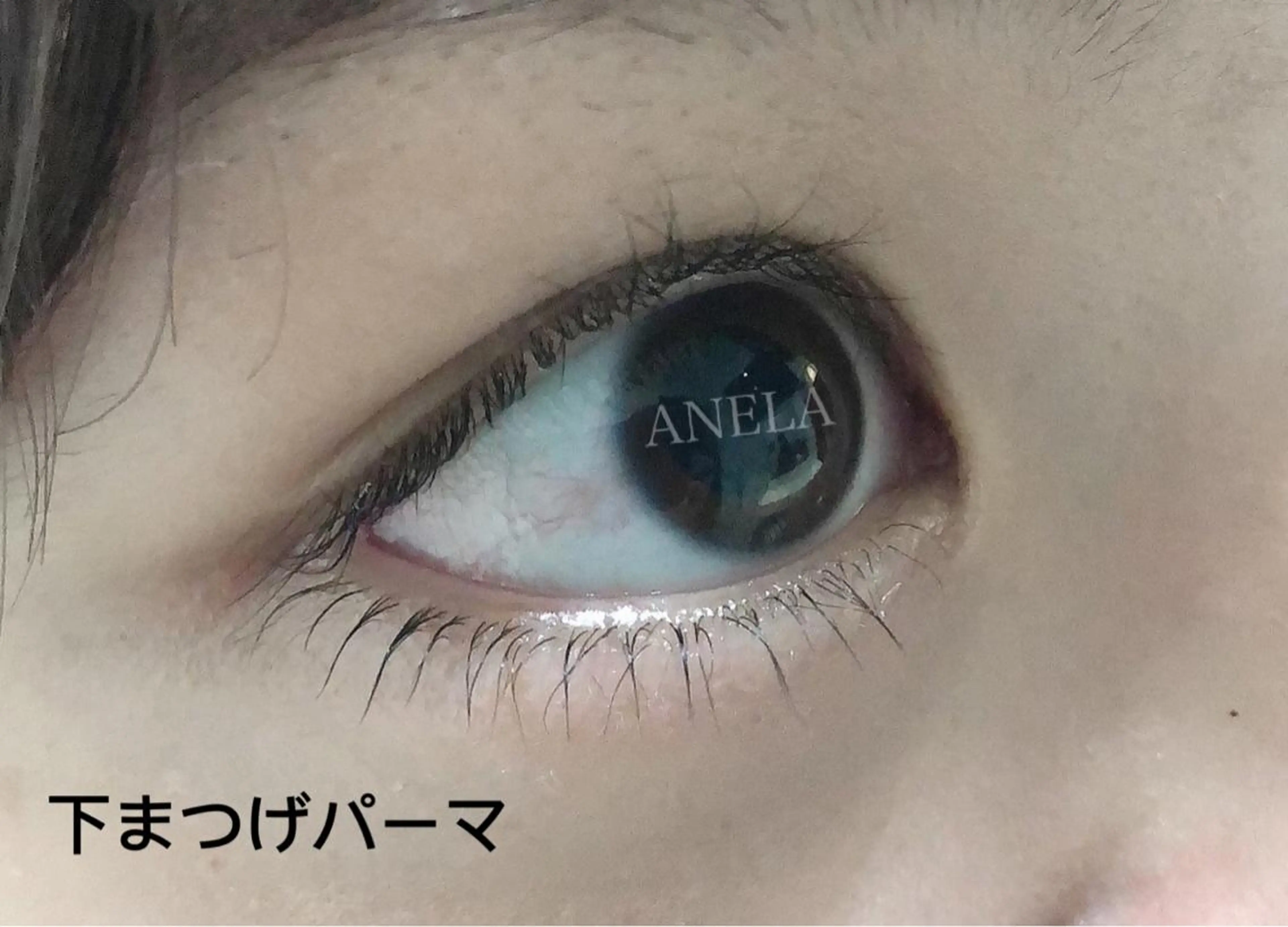 マツエク・マツパ まつげパーマ 下まつげエクステ トータルビューティーALII所属・トータルビューティー ALII エリカのマツエク・マツパデザイン