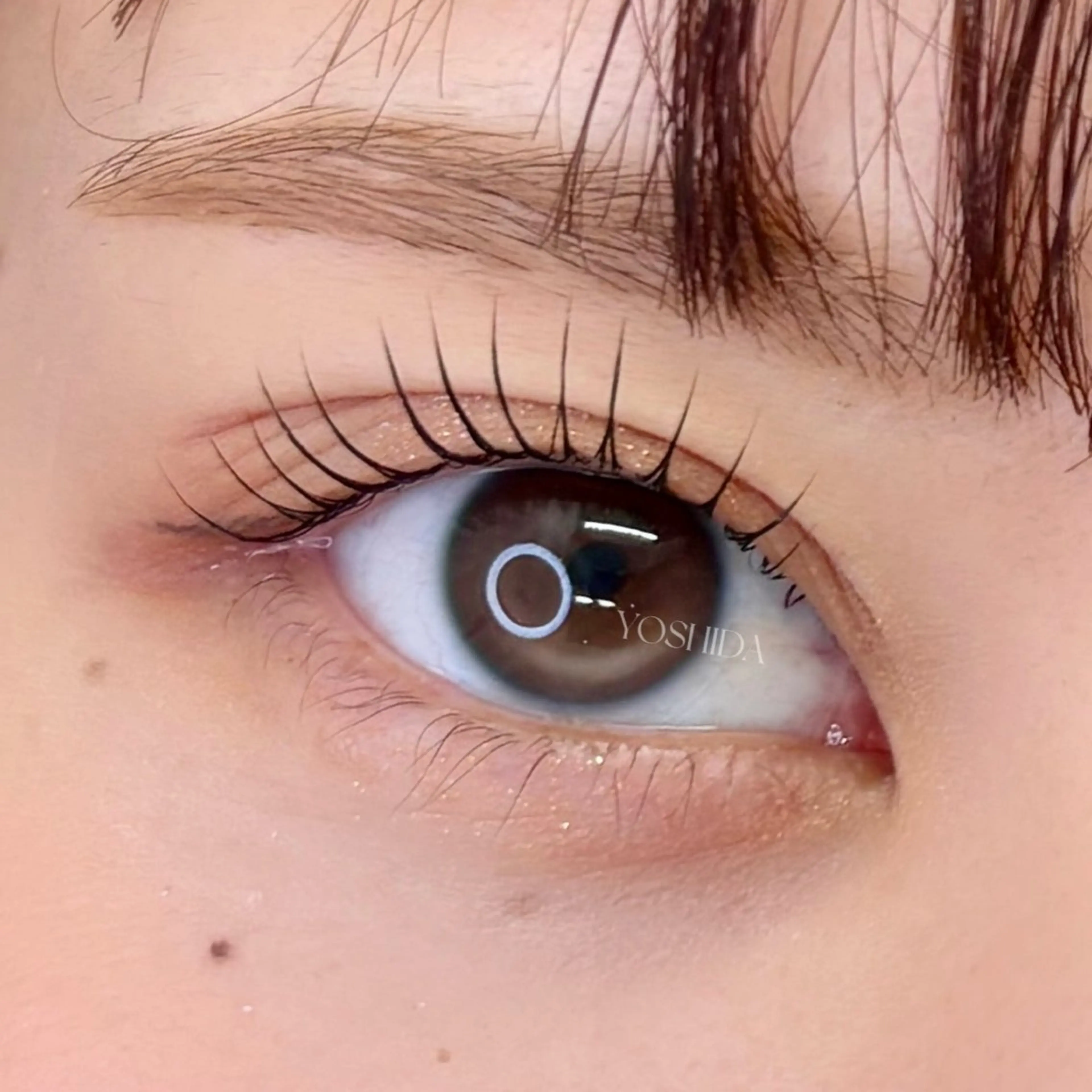 マツエク・マツパ マツパ 【一重┊︎奥二重】 YOSHIDA🌙の眉毛・アイブロウイメージ