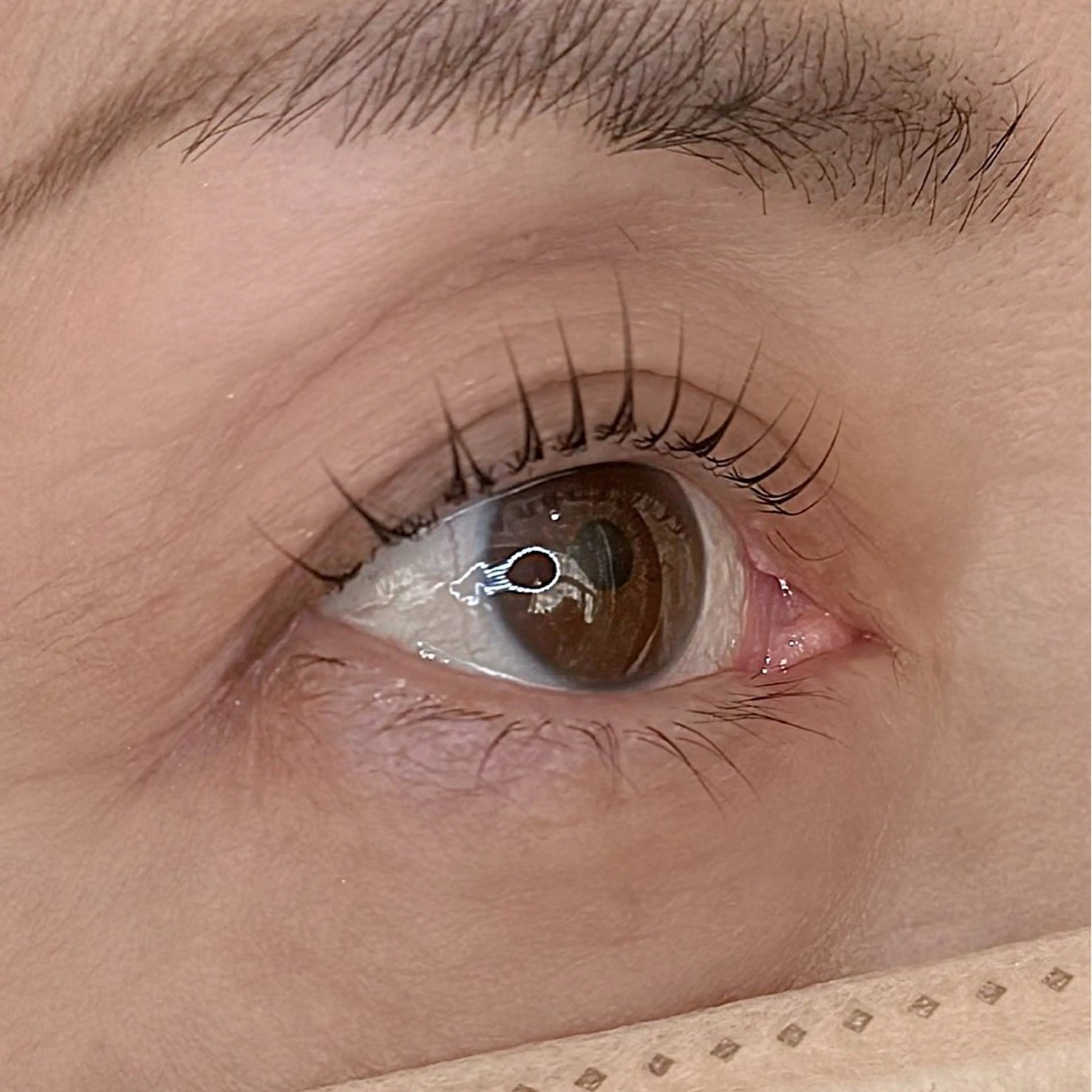 マツエク・マツパ Defi所属・タチバナ リコのマツエク・マツパデザイン