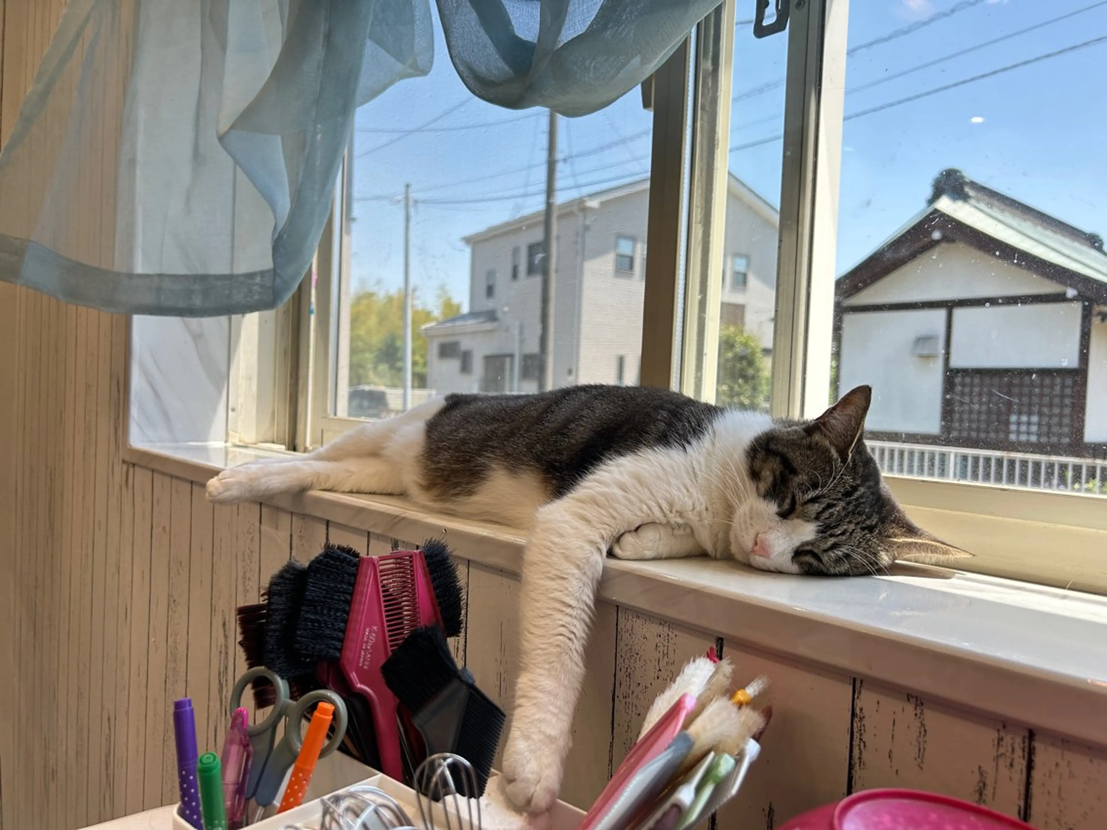 Rika _のネイルデザイン