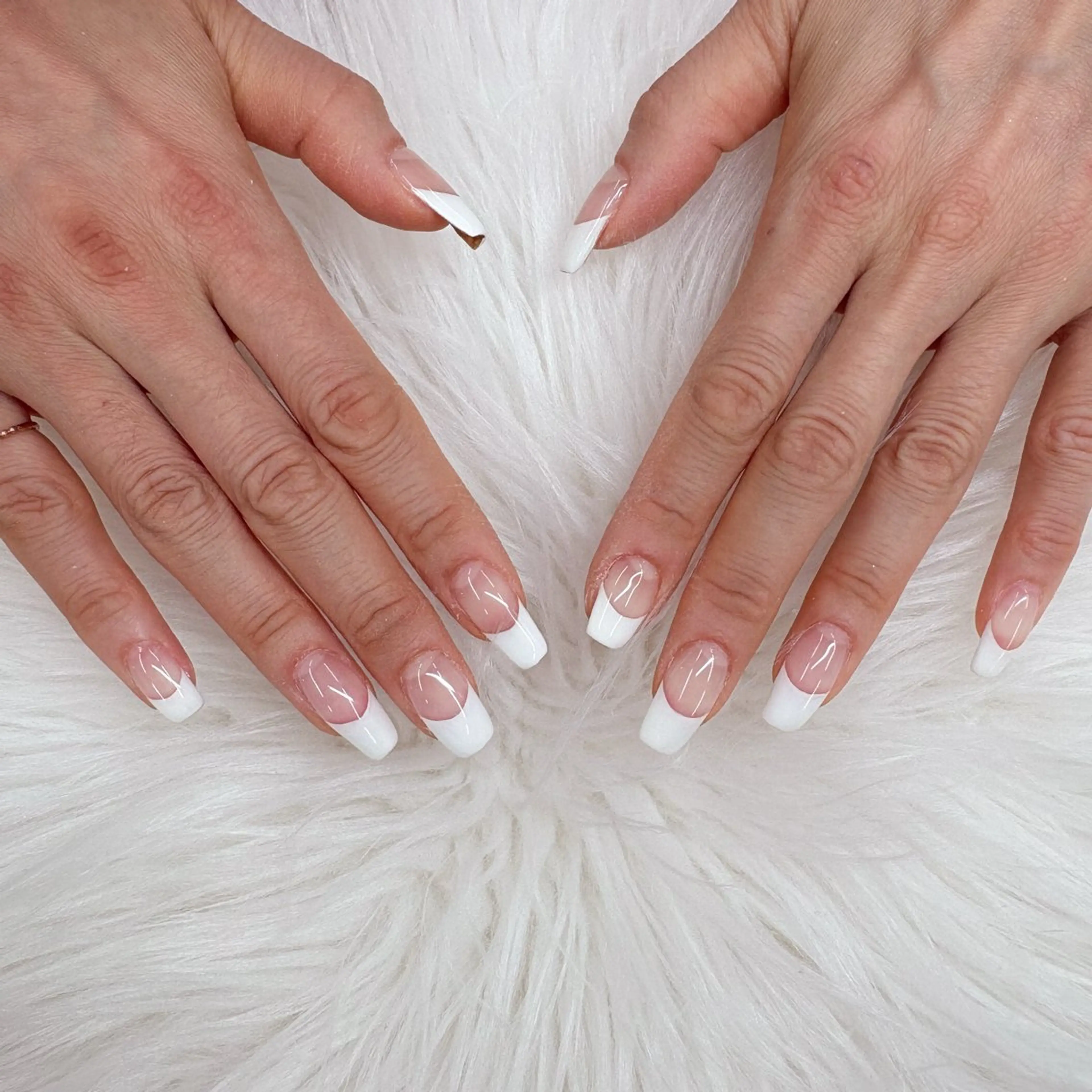 【ずっとオフ無料🎶】フレンチの写真