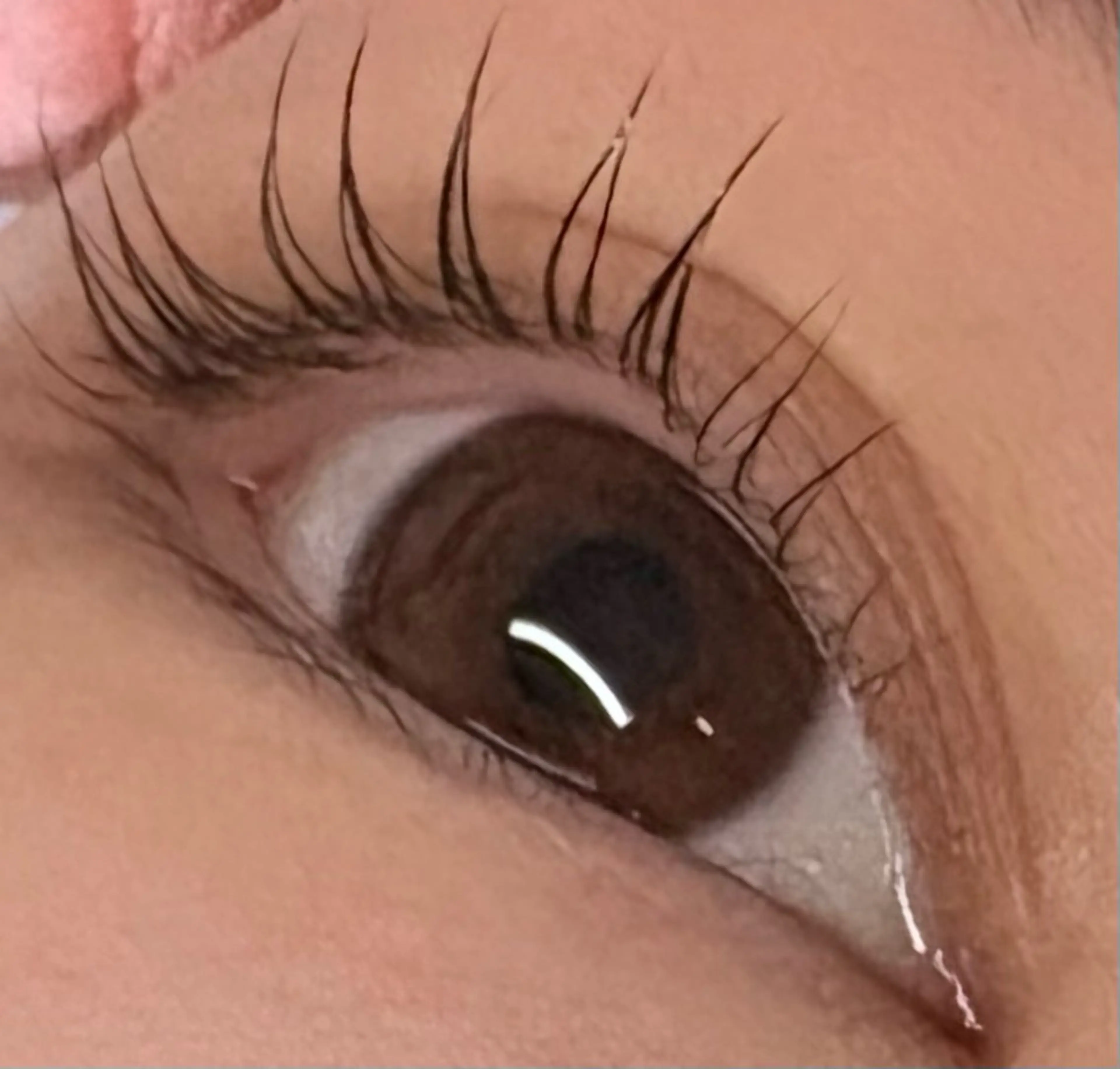 マツエク・マツパ トータルビューティー サロン・Ｎの眉毛・アイブロウイメージ