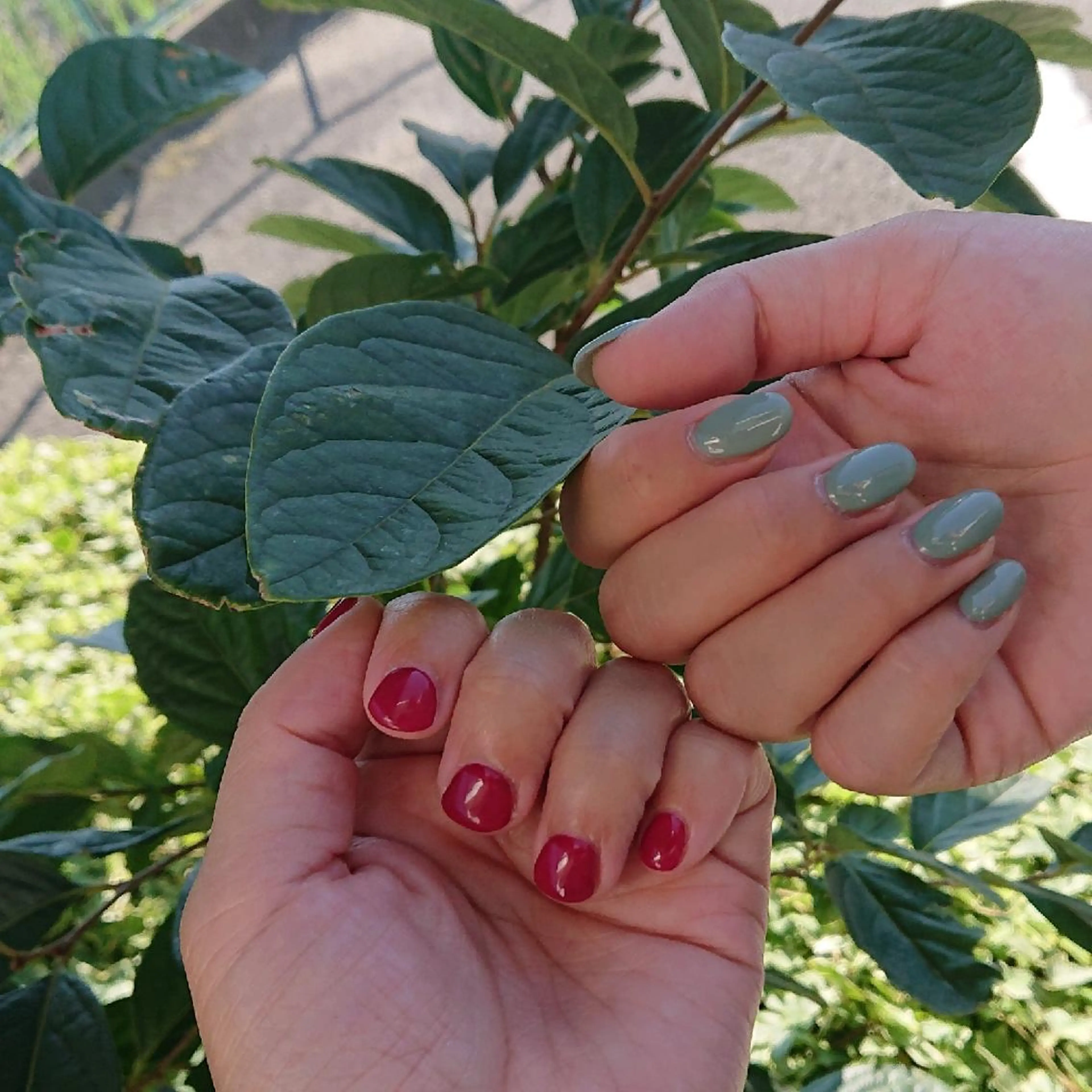 ネイル ワンカラーネイル beauty salon by BMbm所属・名倉 彩乃のエステ・リラクイメージ