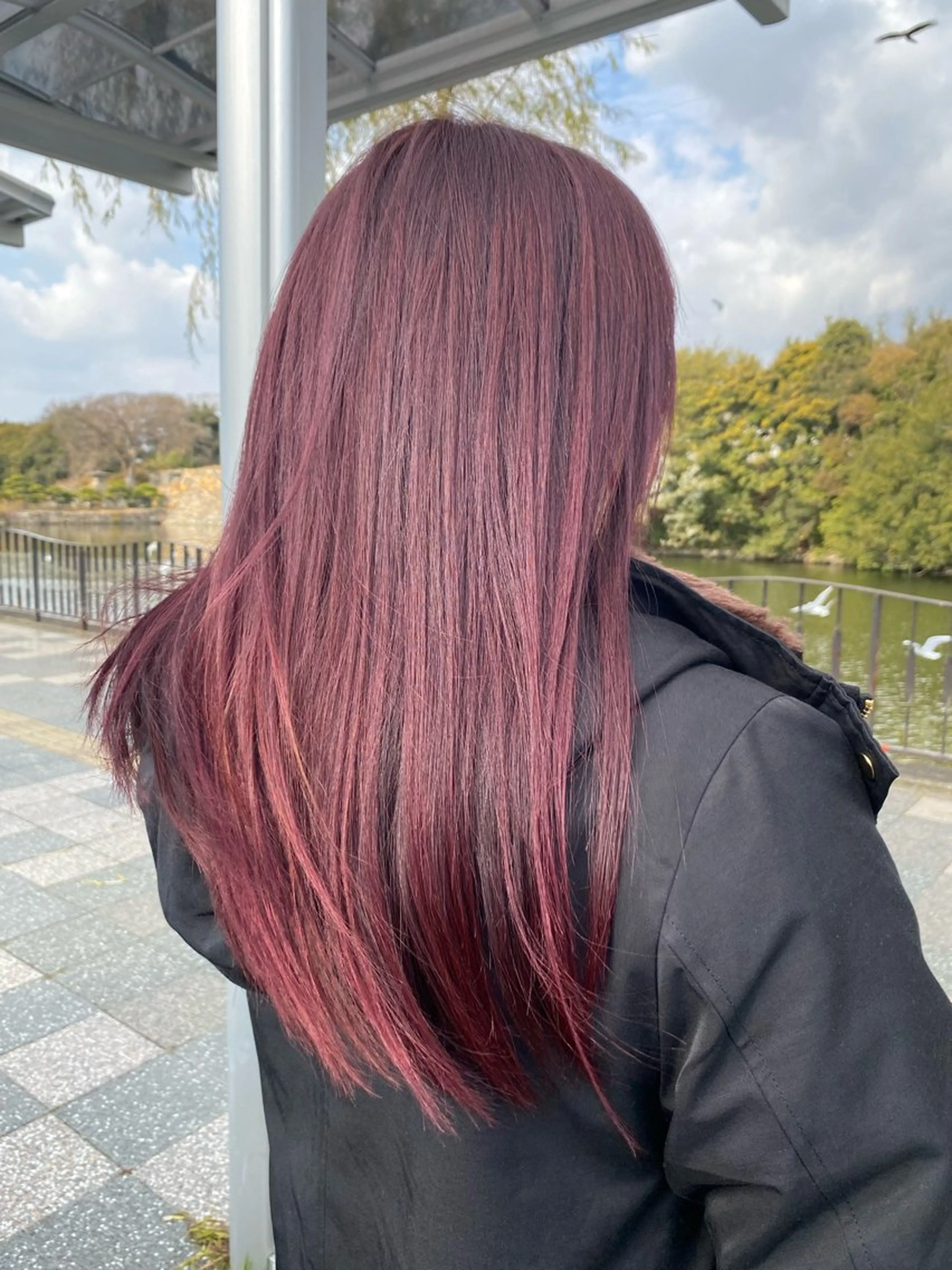 カット＋カラー＋グロストリートメントの写真