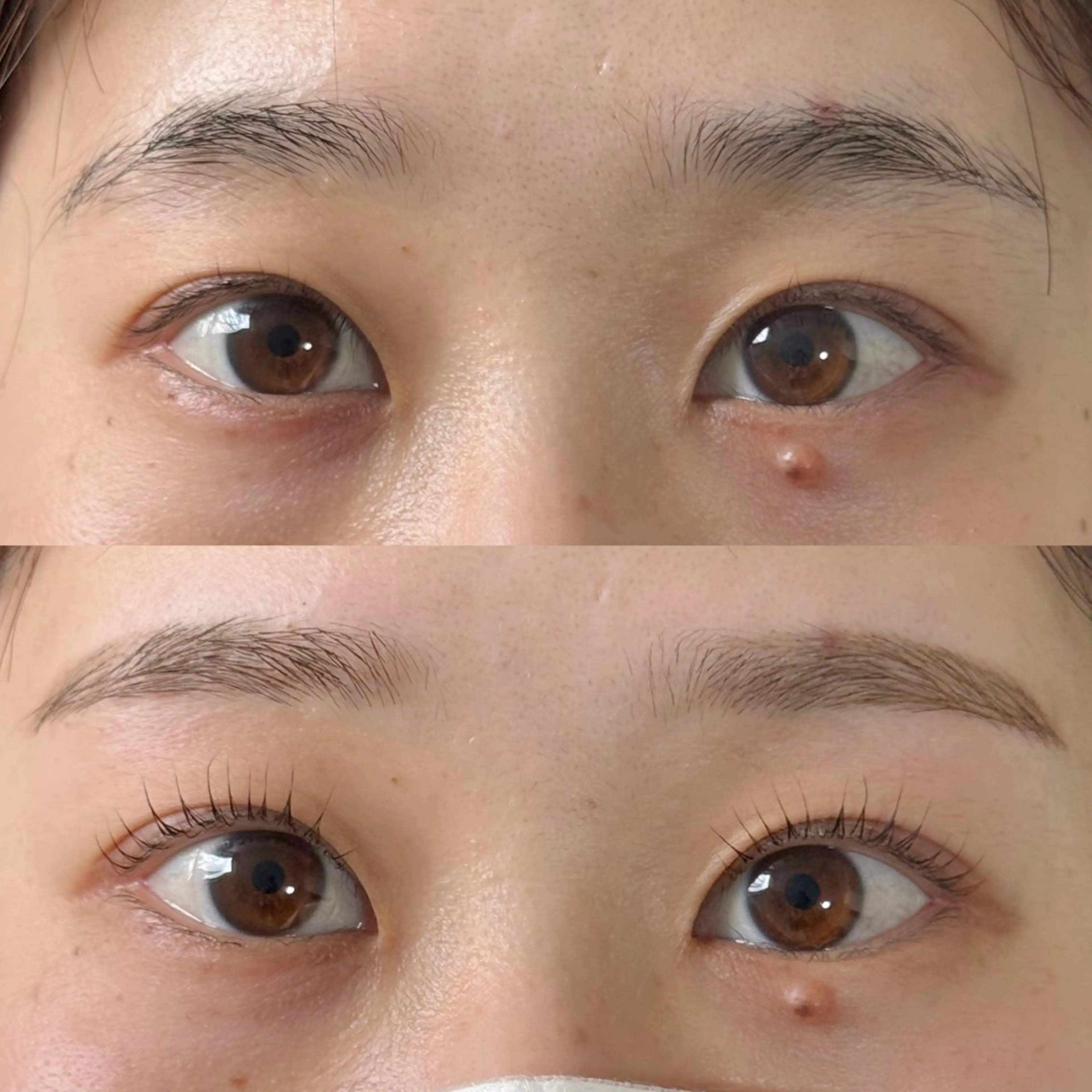 リピーター様🩰【上まつげパーマor上パリジェンヌラッシュ＋アイブロウワックス】🩰お支払い現金のみの写真