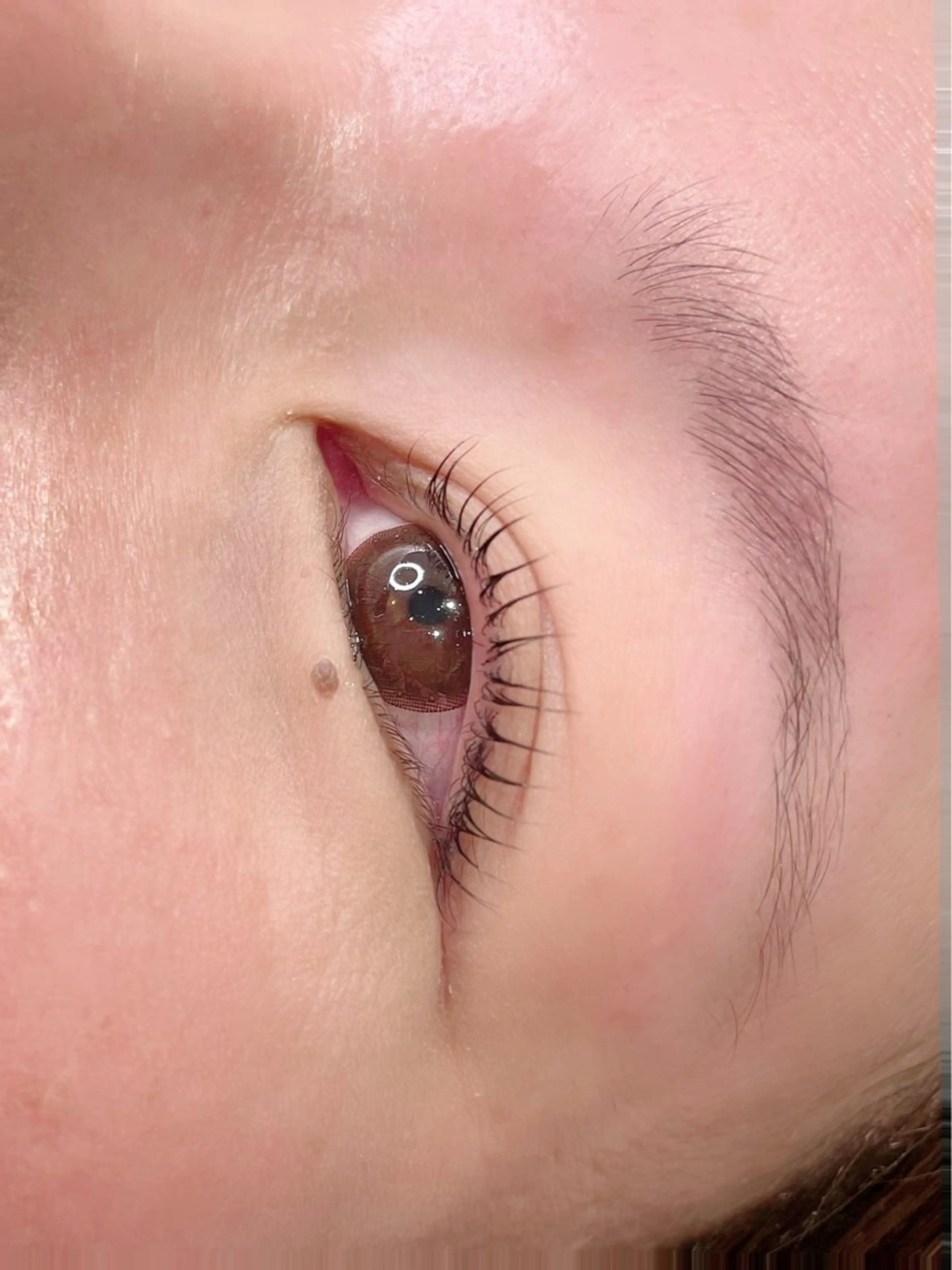 マツエク・マツパ CHION eyelash所属・mai  CHION eyelashのマツエク・マツパデザイン