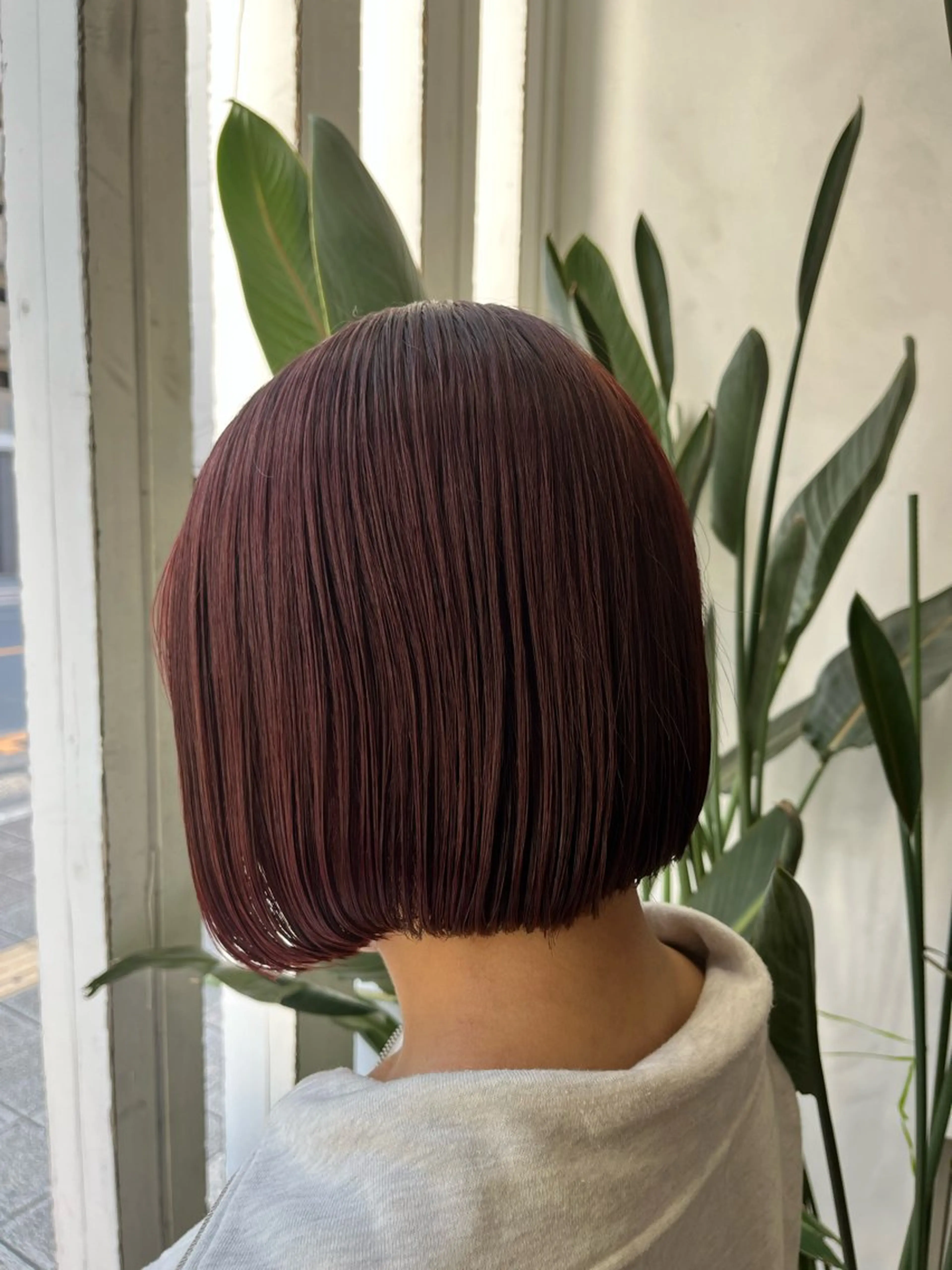 ミディアム カラー インナーカラー 🫧艶髪デザイナー 🫧白石航汰のヘアスタイル