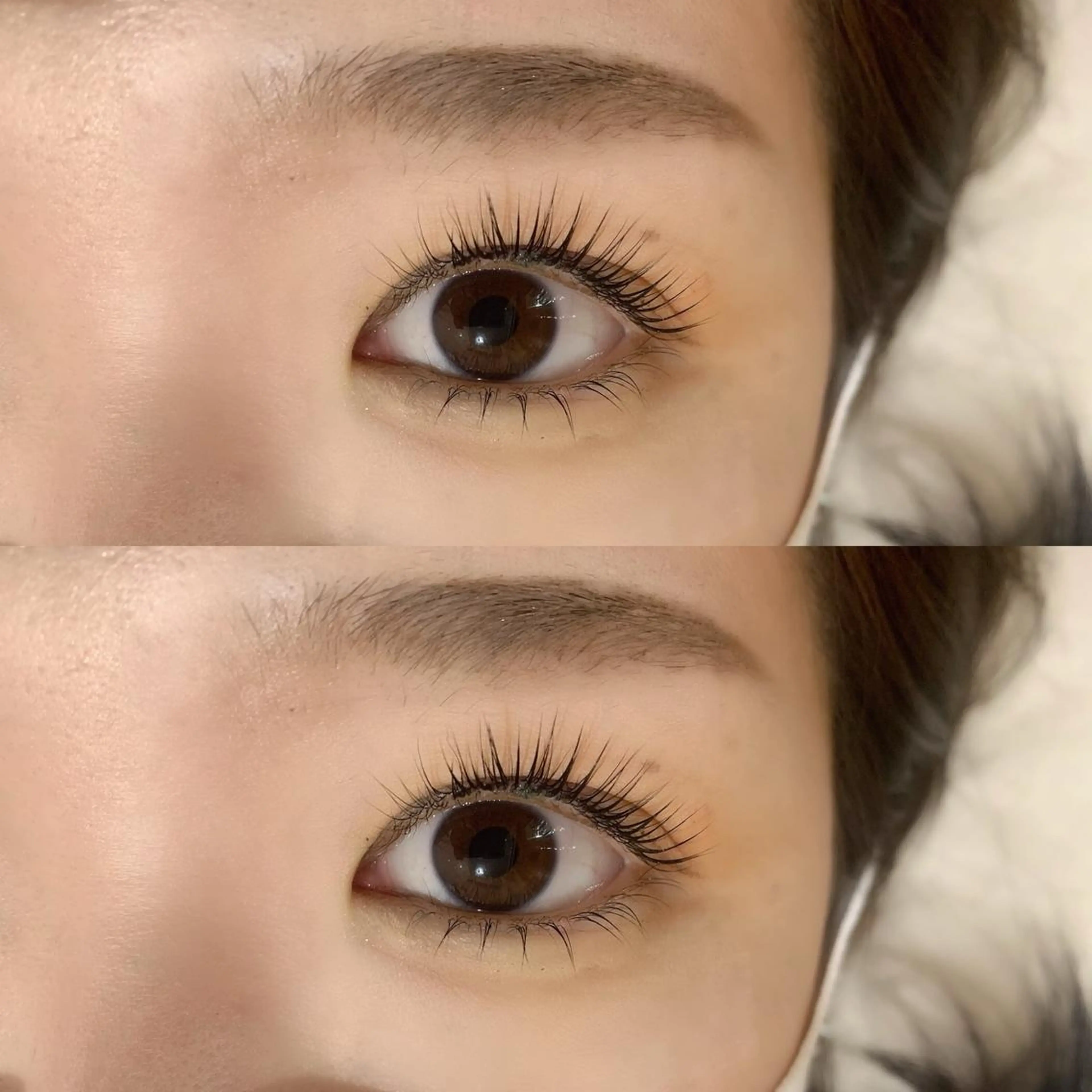 【新規様のみ】パリジェンヌラッシュリフト＆アイブロウスタイリングの写真