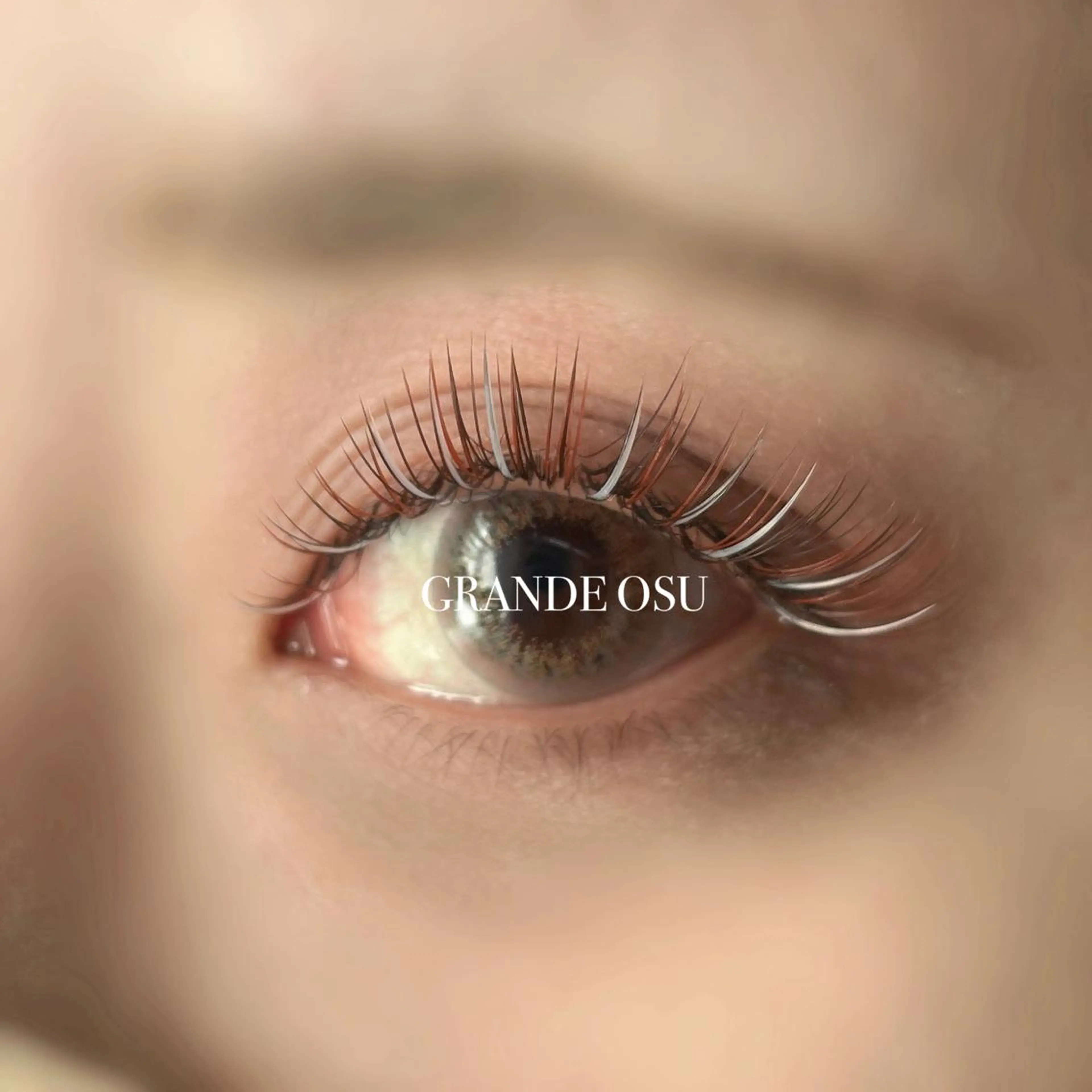 マツエク・マツパ マツエク GRANDE OSU 藤原/eye店長のマツエク・マツパデザイン