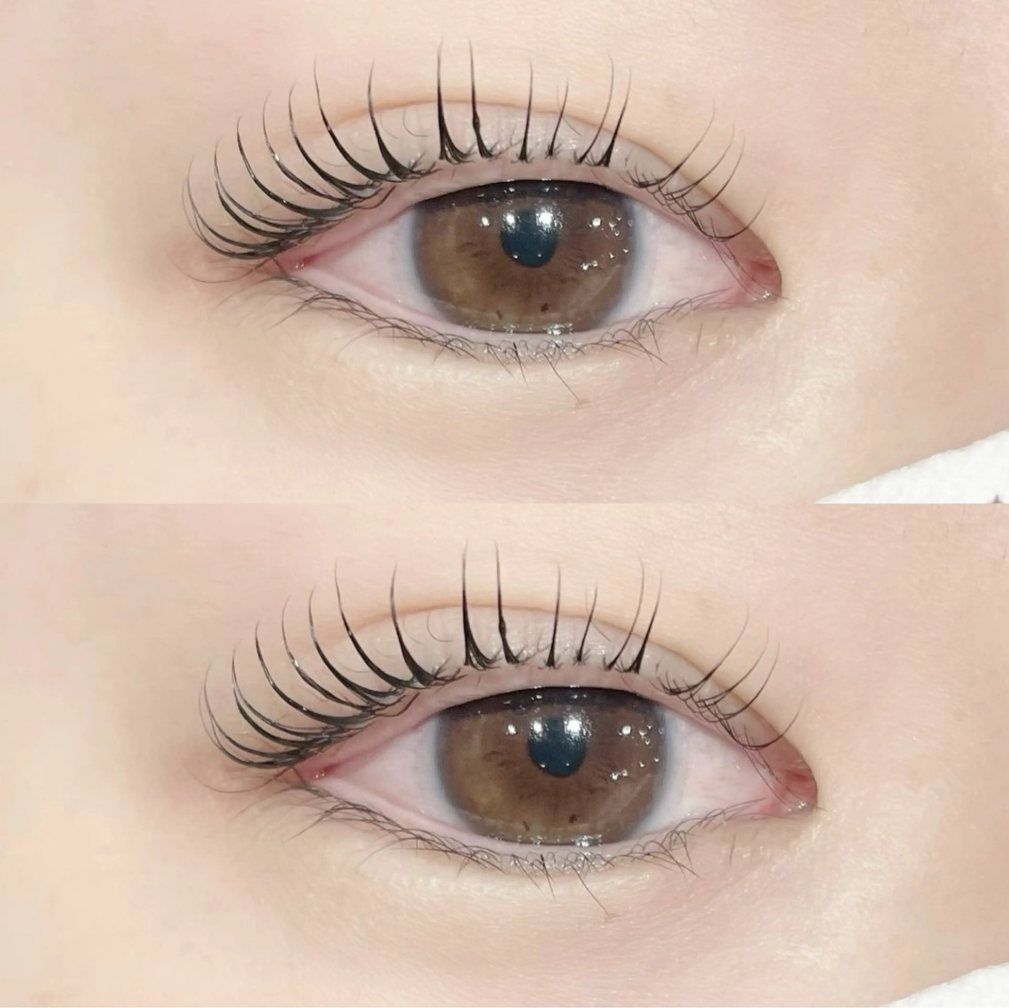 マツエク・マツパ gioia futadaのマツエク・マツパデザイン