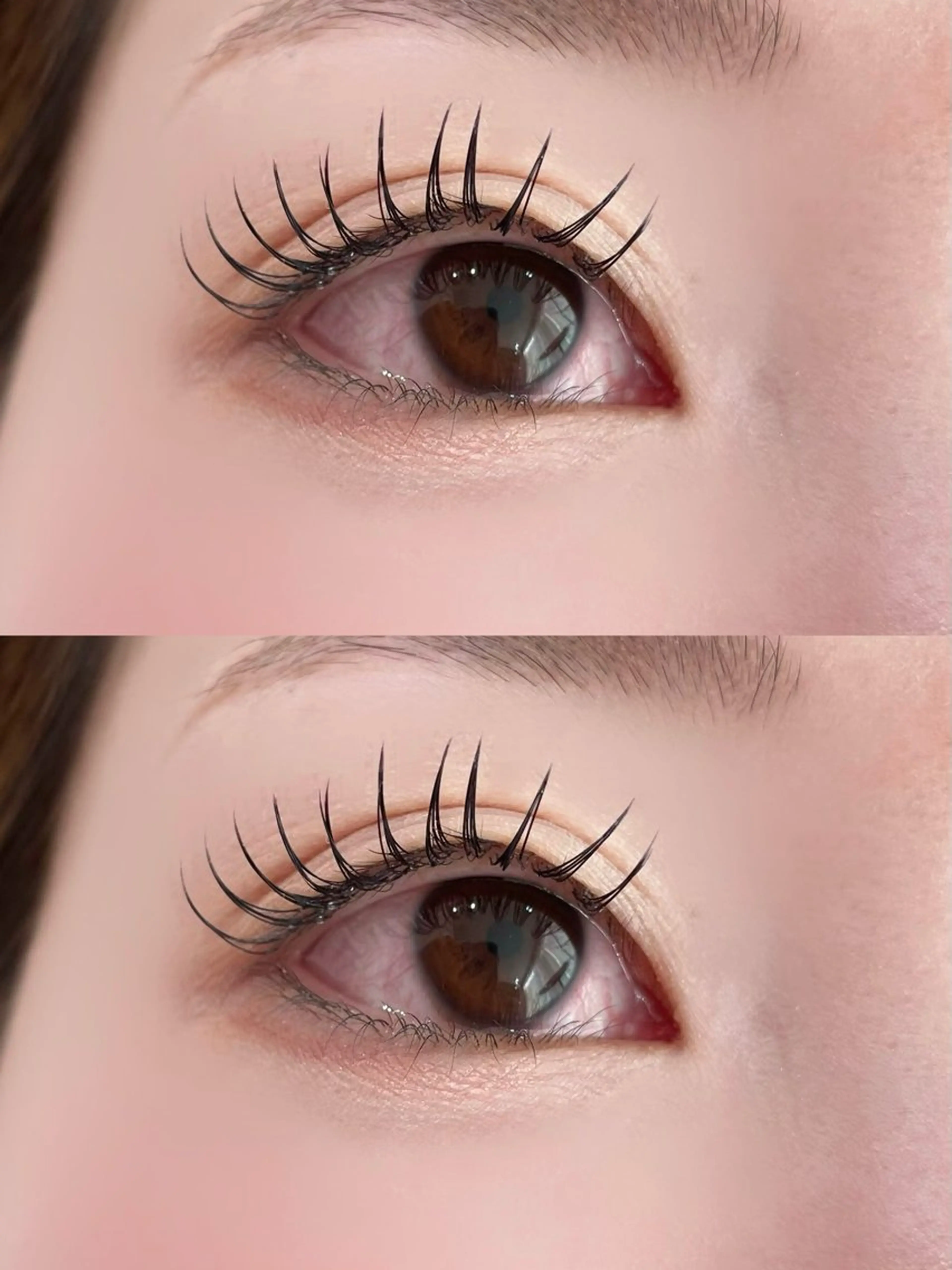 🌷導入練習＊最新LEDラッシュエクステ100本まで🌷の写真