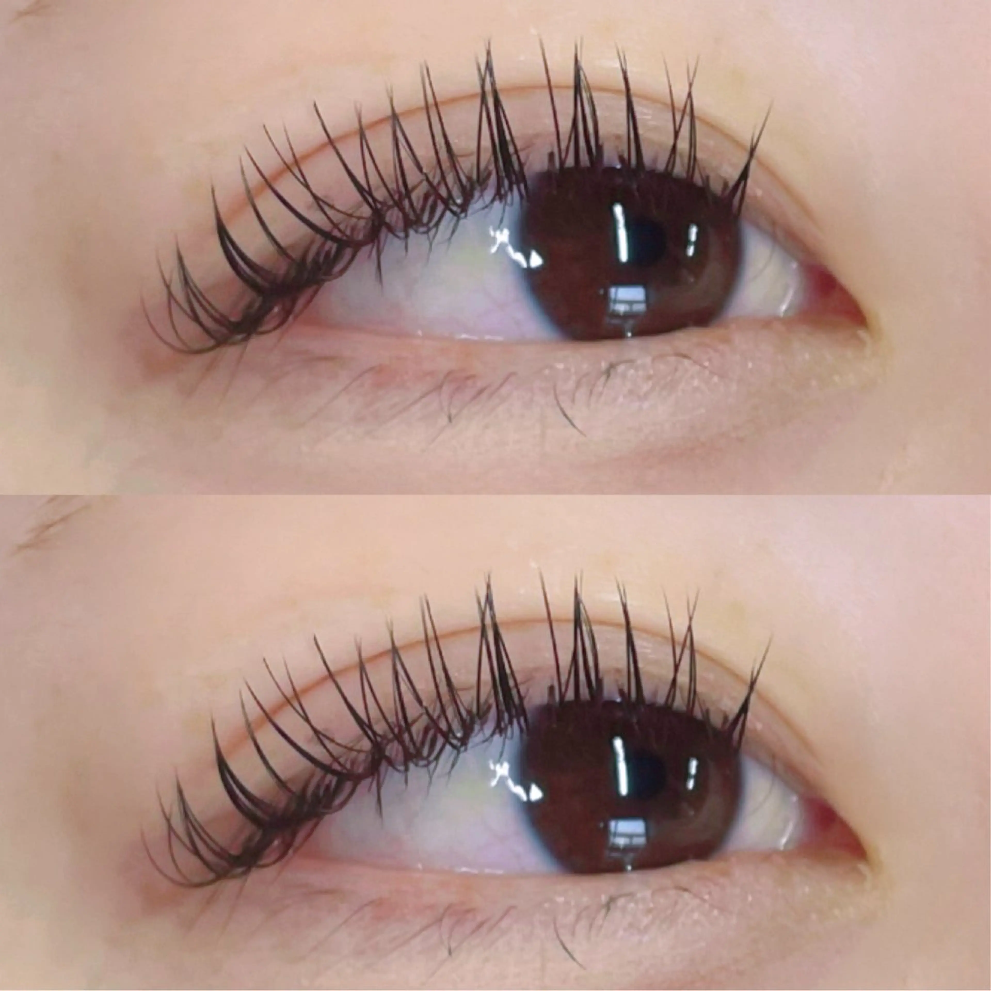 マツエク・マツパ バインドロック サロンドグレース所属・お客様専用 🤍のマツエク・マツパデザイン