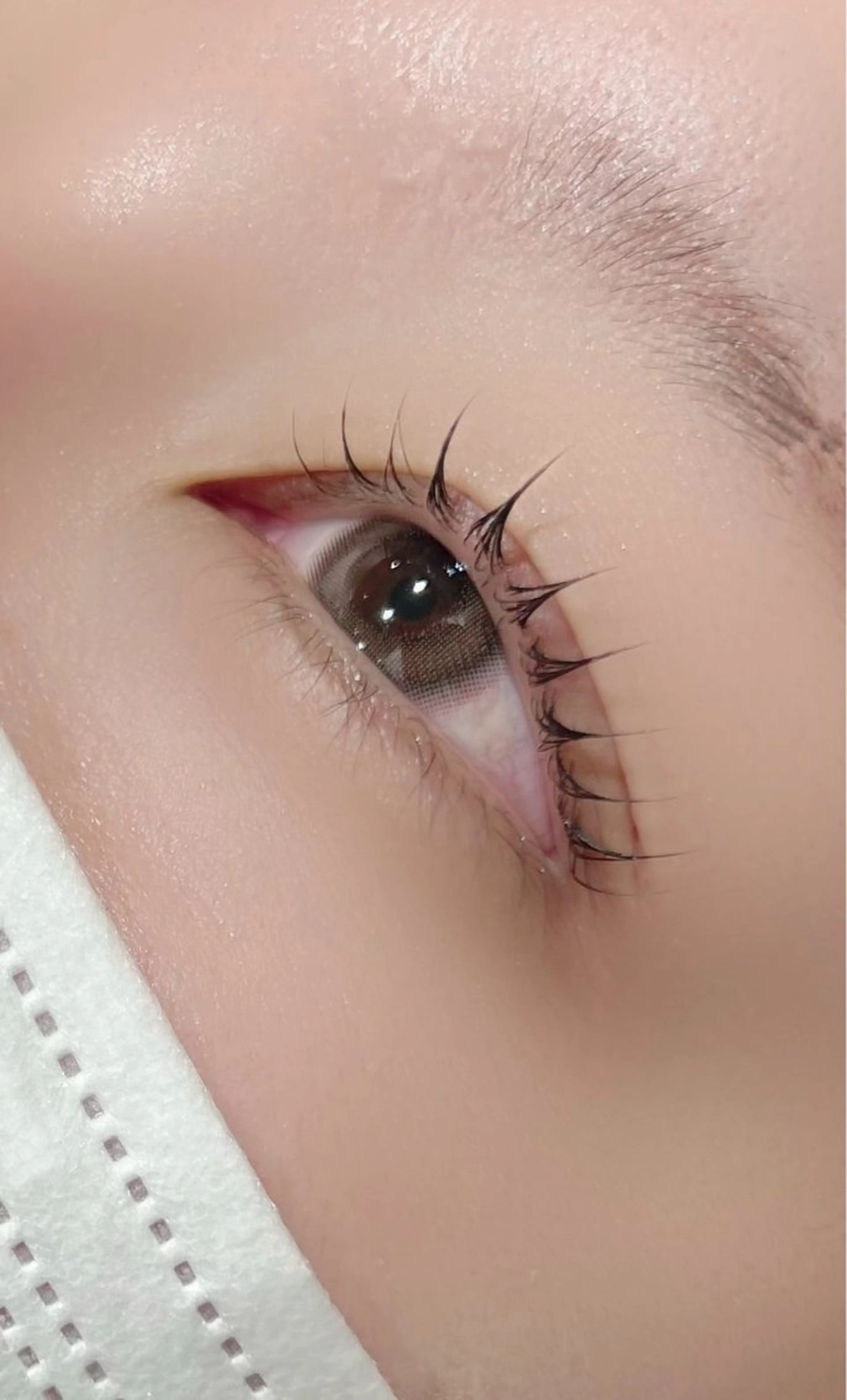 💟上まつ毛パーマ💟の写真