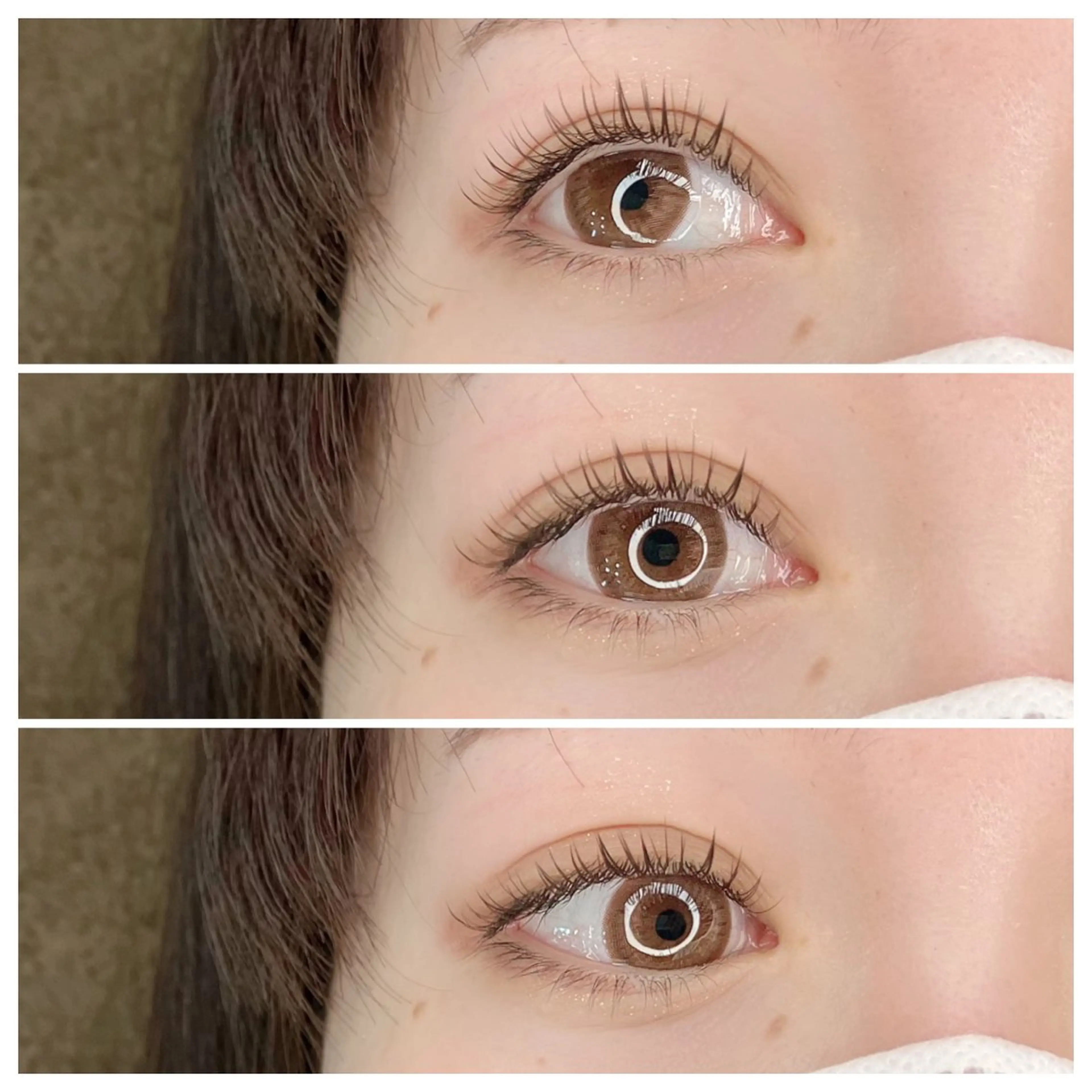 ◎フラットラッシュ１００本の写真