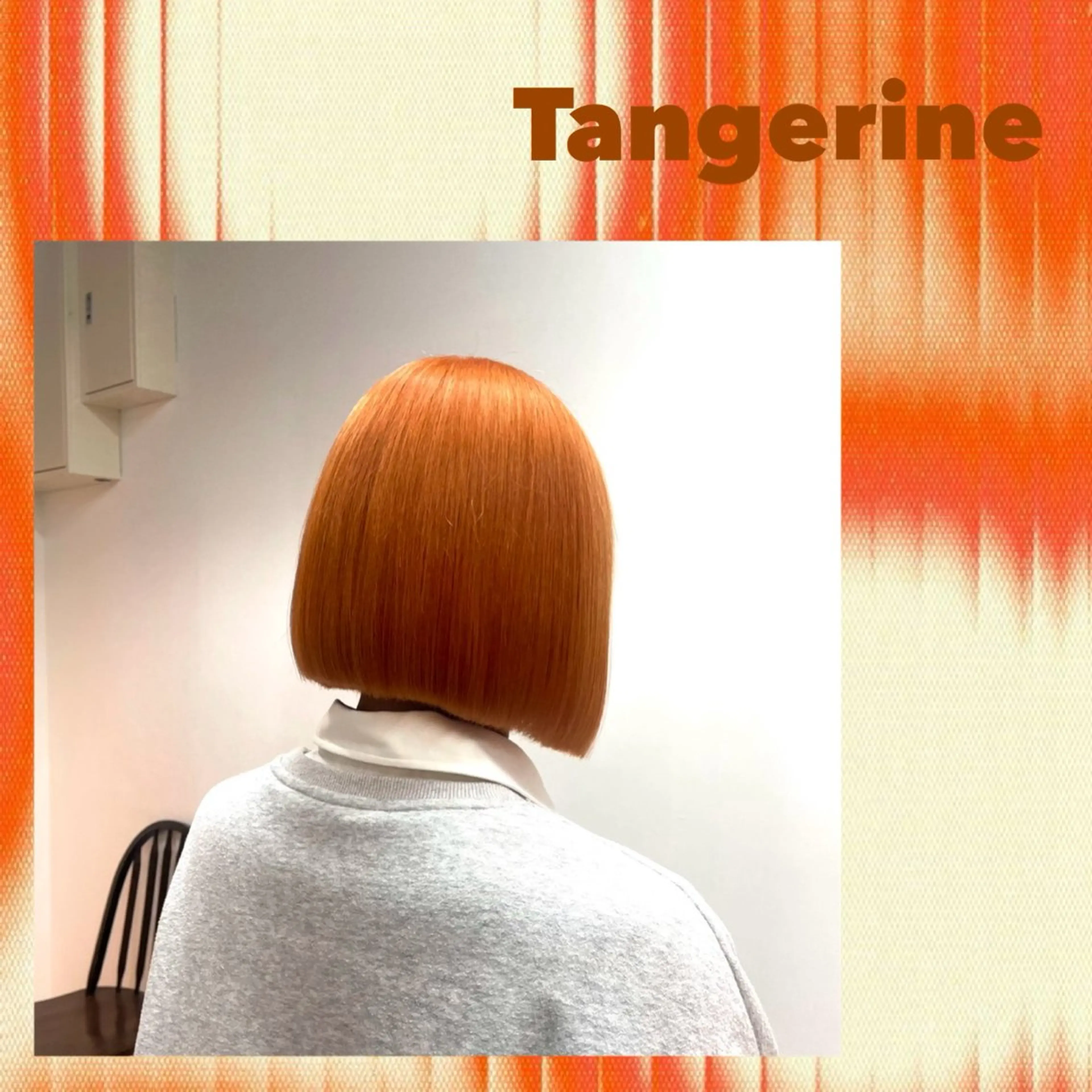 ショート カラー ヘアカラー 🌿似合わせブリーチ 小俣　来🌿のヘアスタイル