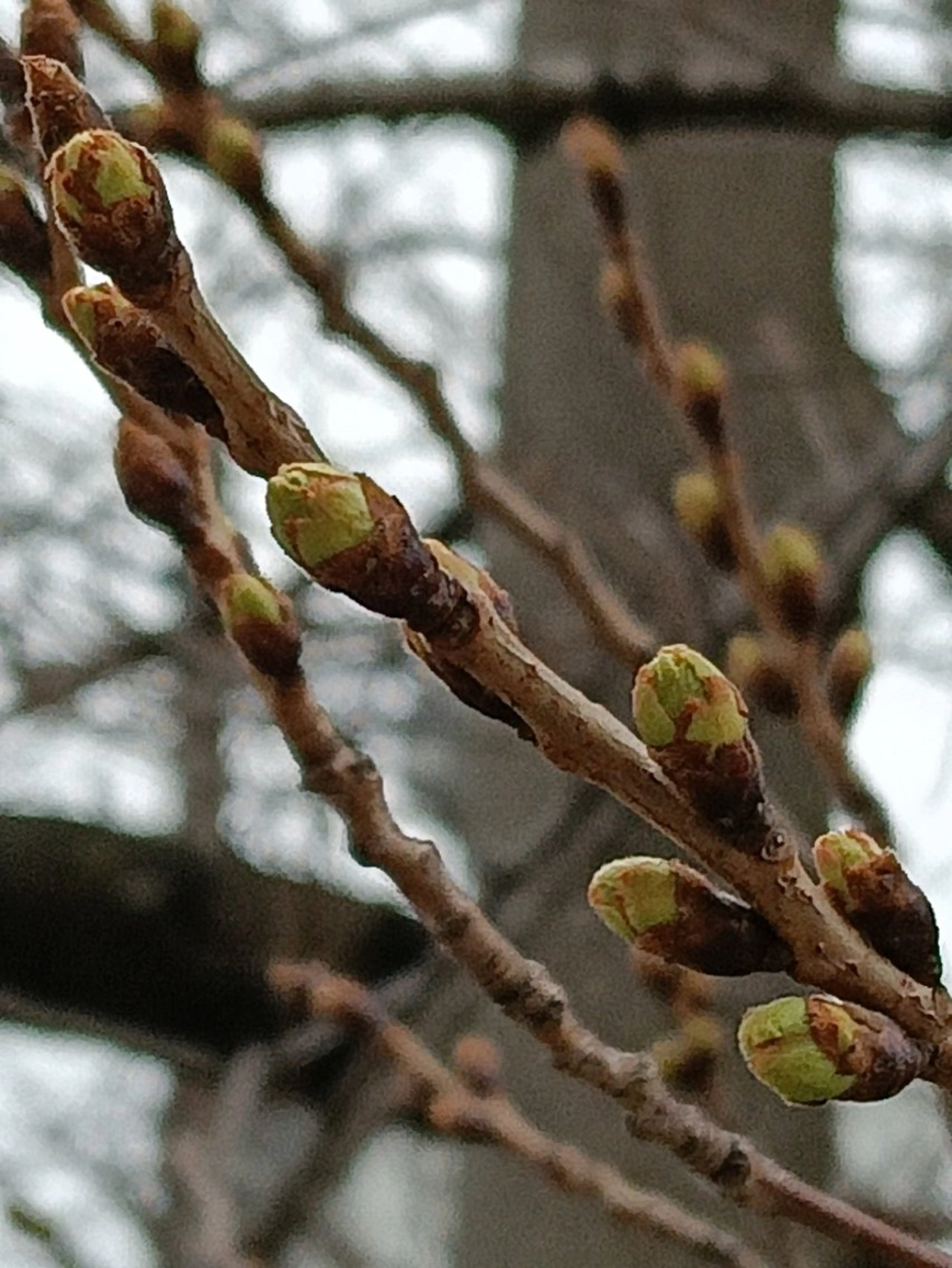 千の樹所属・久保・女性専用 美咲のエステ・リラクイメージ