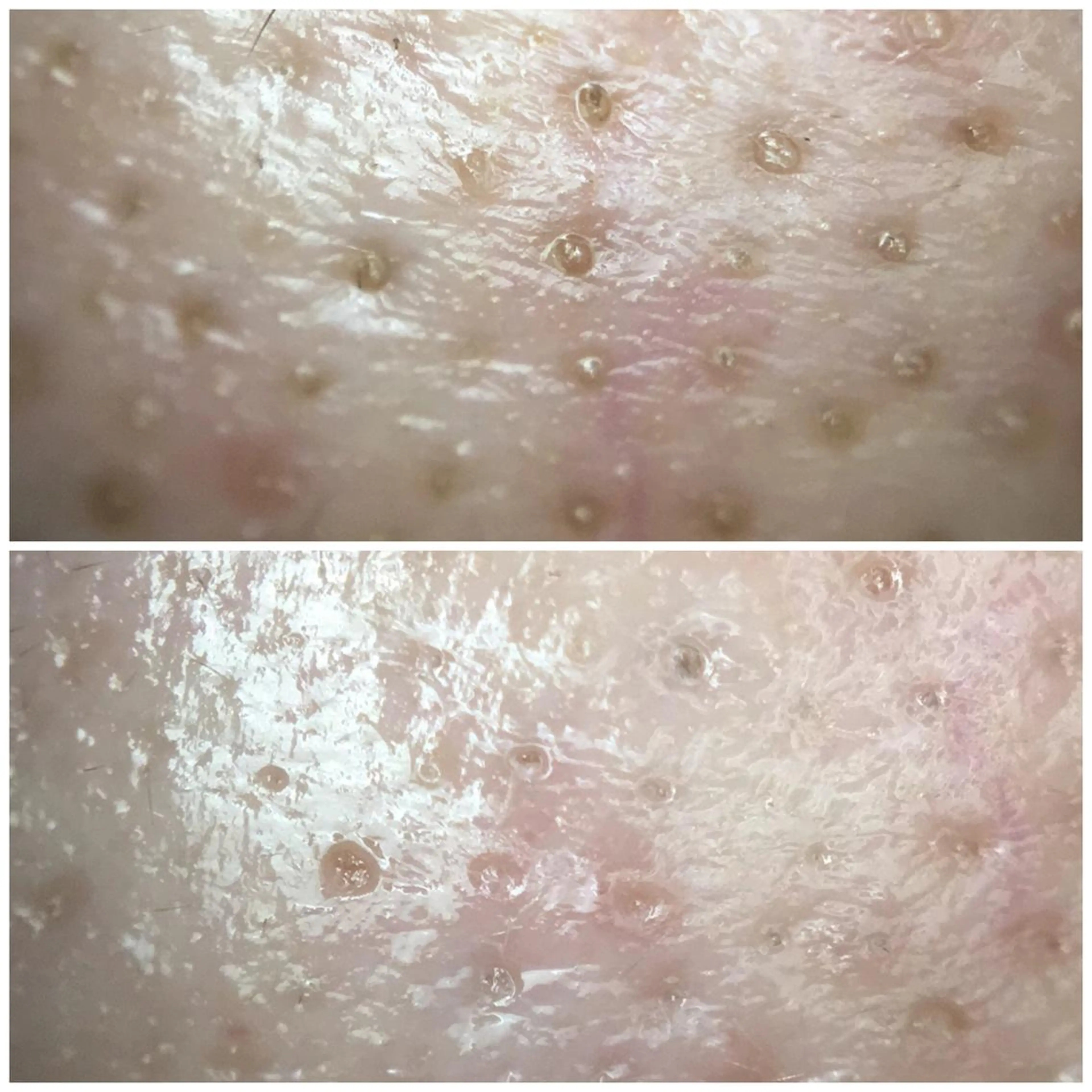 Labelta 遠田のエステ・リラクイメージ