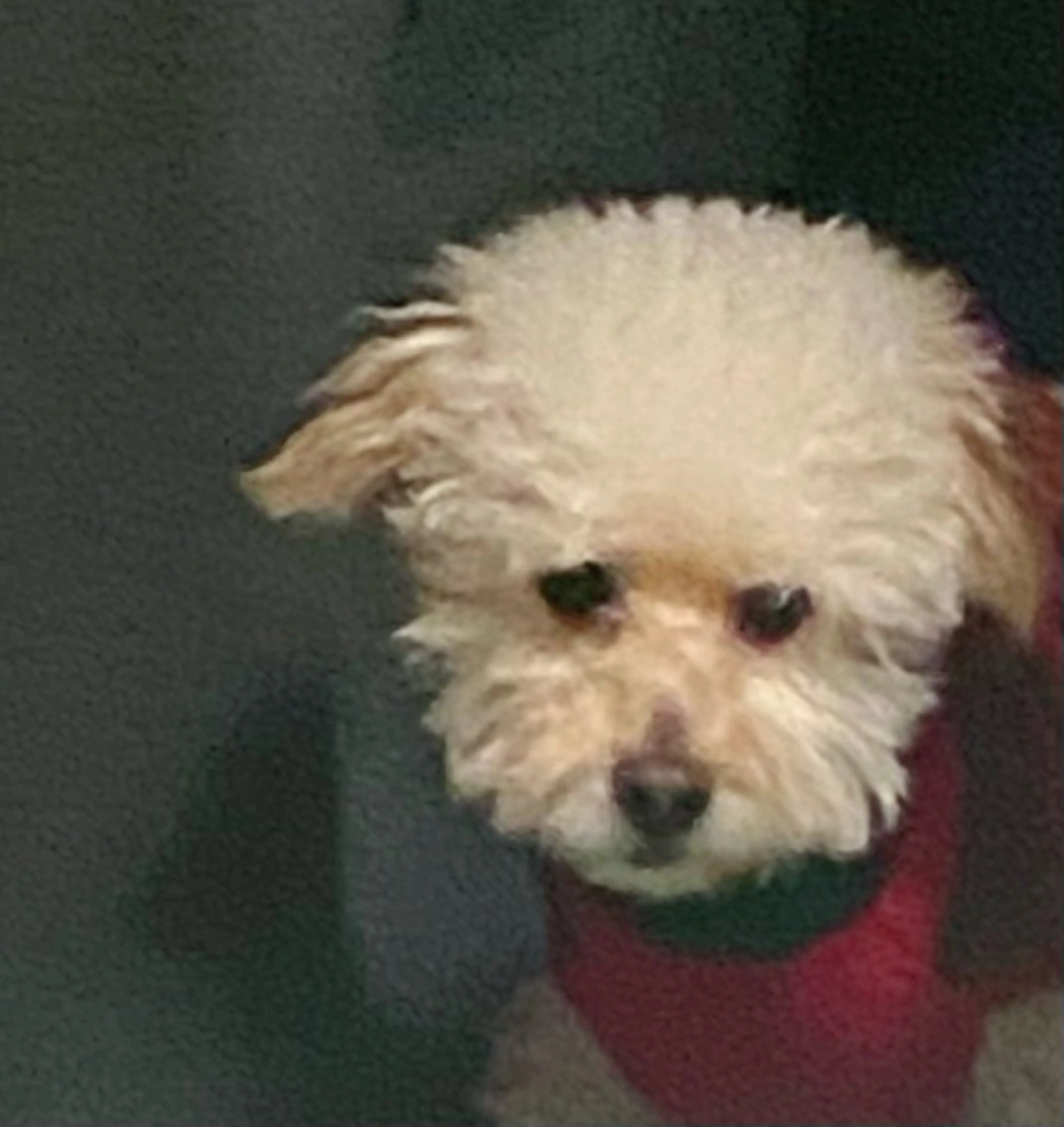 ネイル free hug Hiromiのネイルデザイン