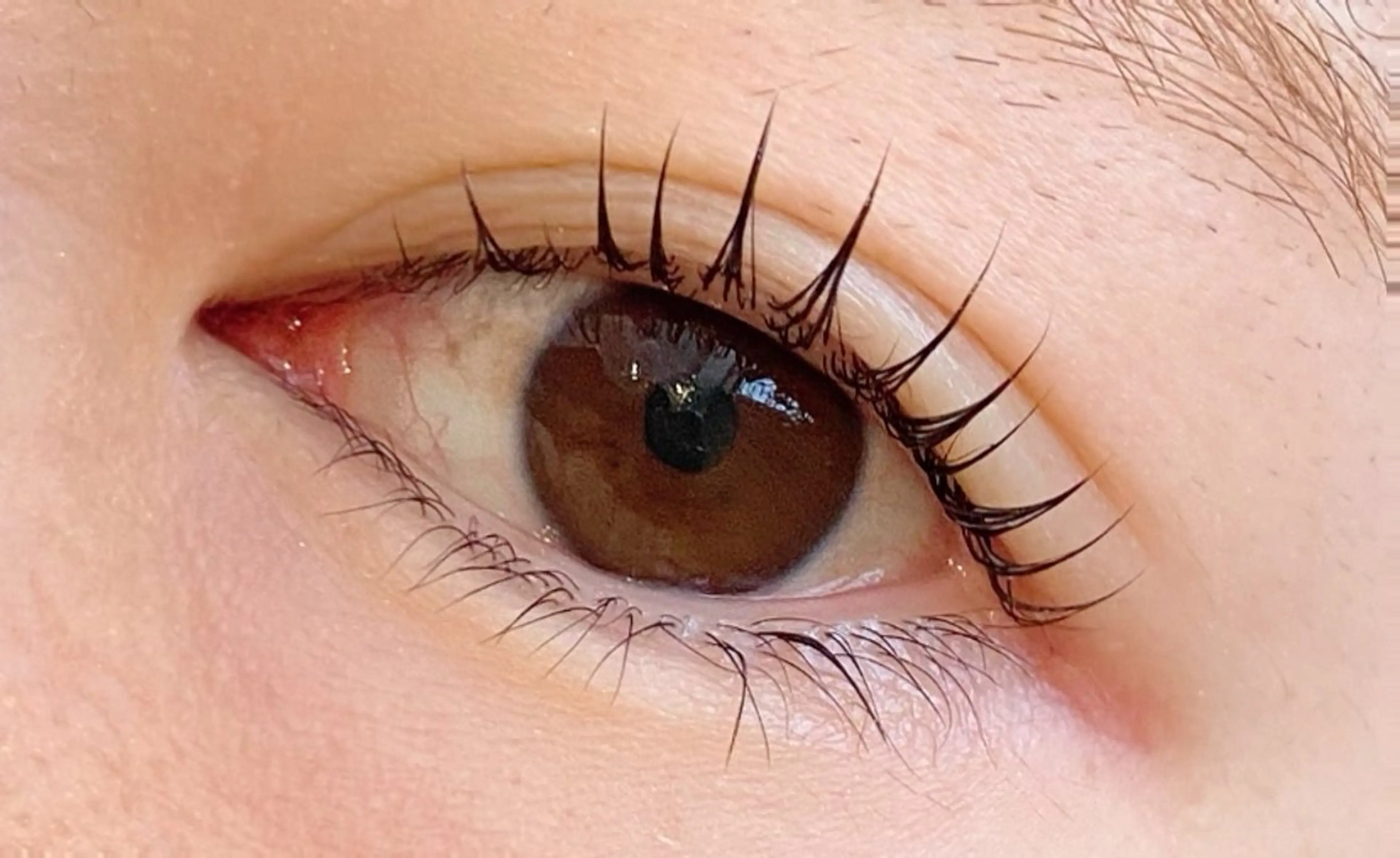 マツエク・マツパ 束感まつ毛 韓国風マツエク マツパ Jessica 清水🎀✨のエステ・リラクイメージ