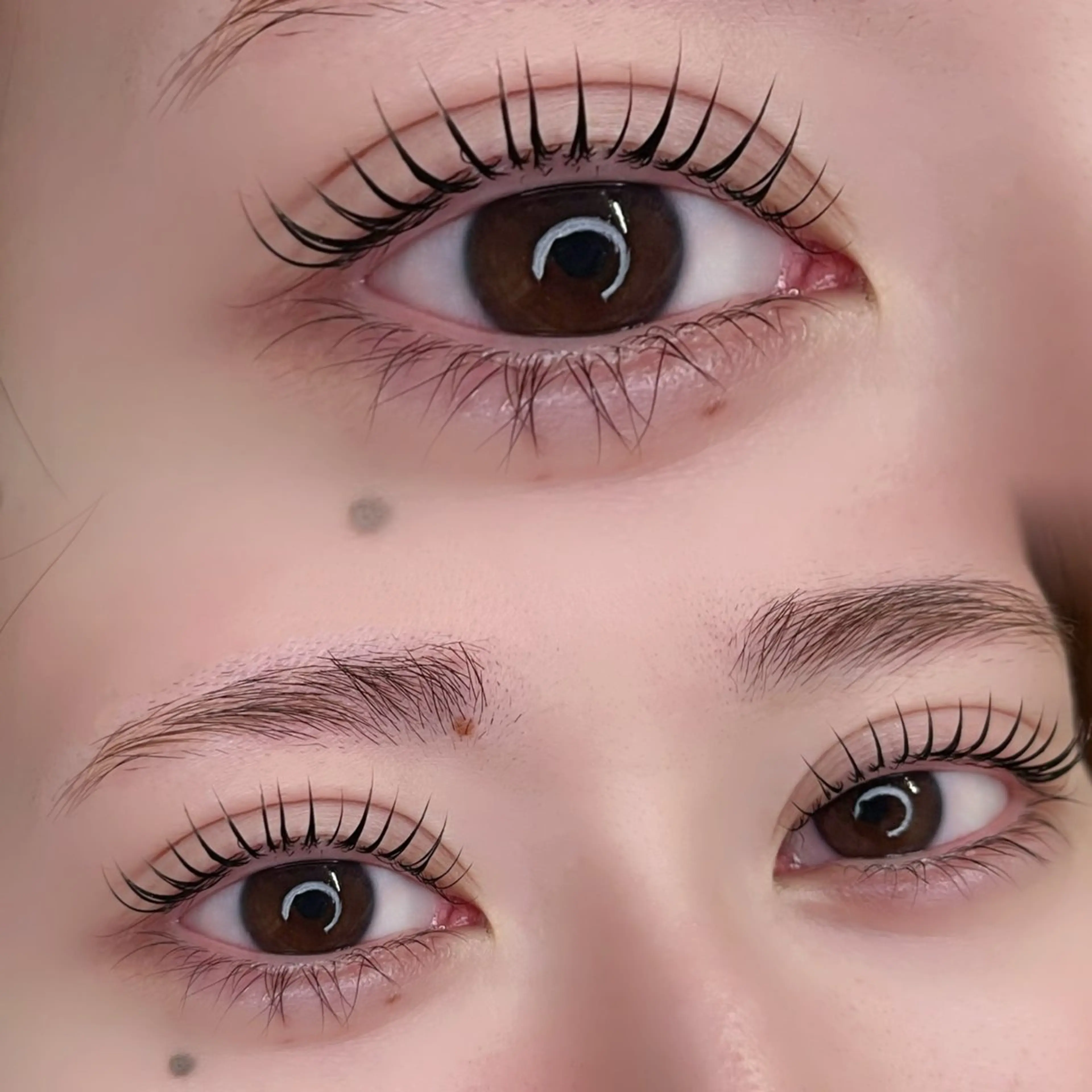 まつ毛パーマ❄️（パリジェンヌラッシュリフト）の写真