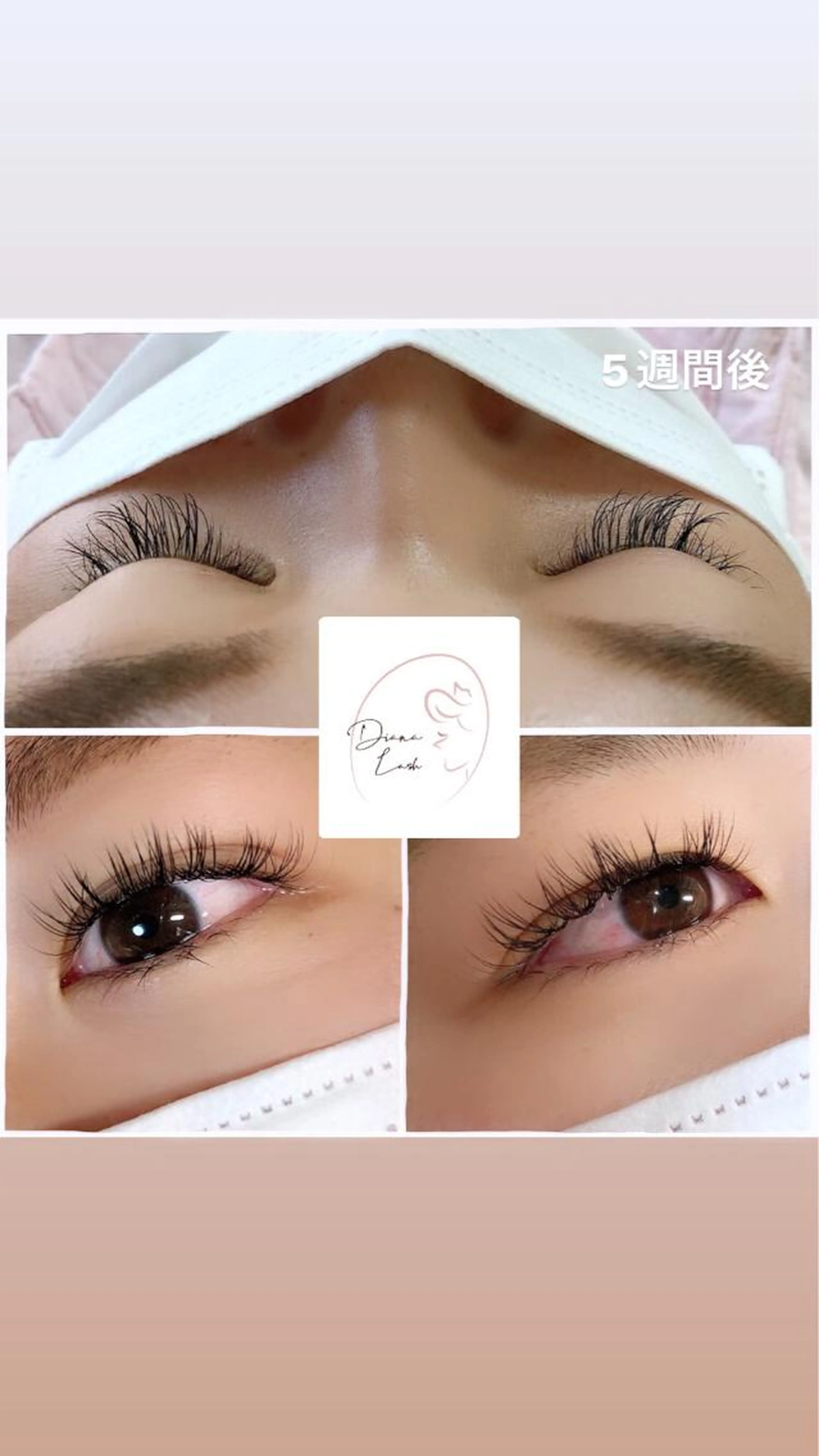 岐阜初‼️ダイアナラッシュ✨80束✨の写真