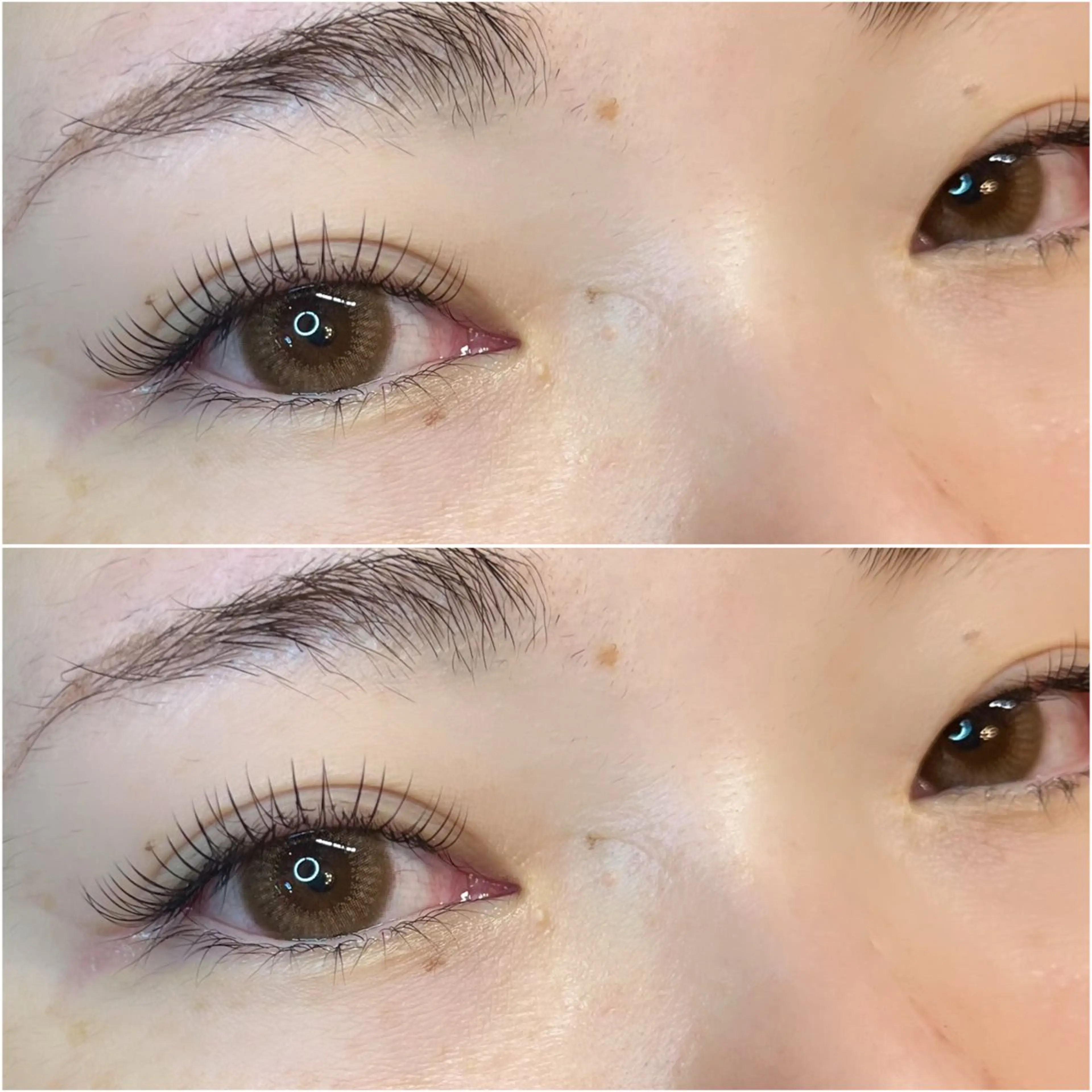 マツエク・マツパ 髪質改善専門Gift LaBo所属・like a lu eyelashのマツエク・マツパデザイン