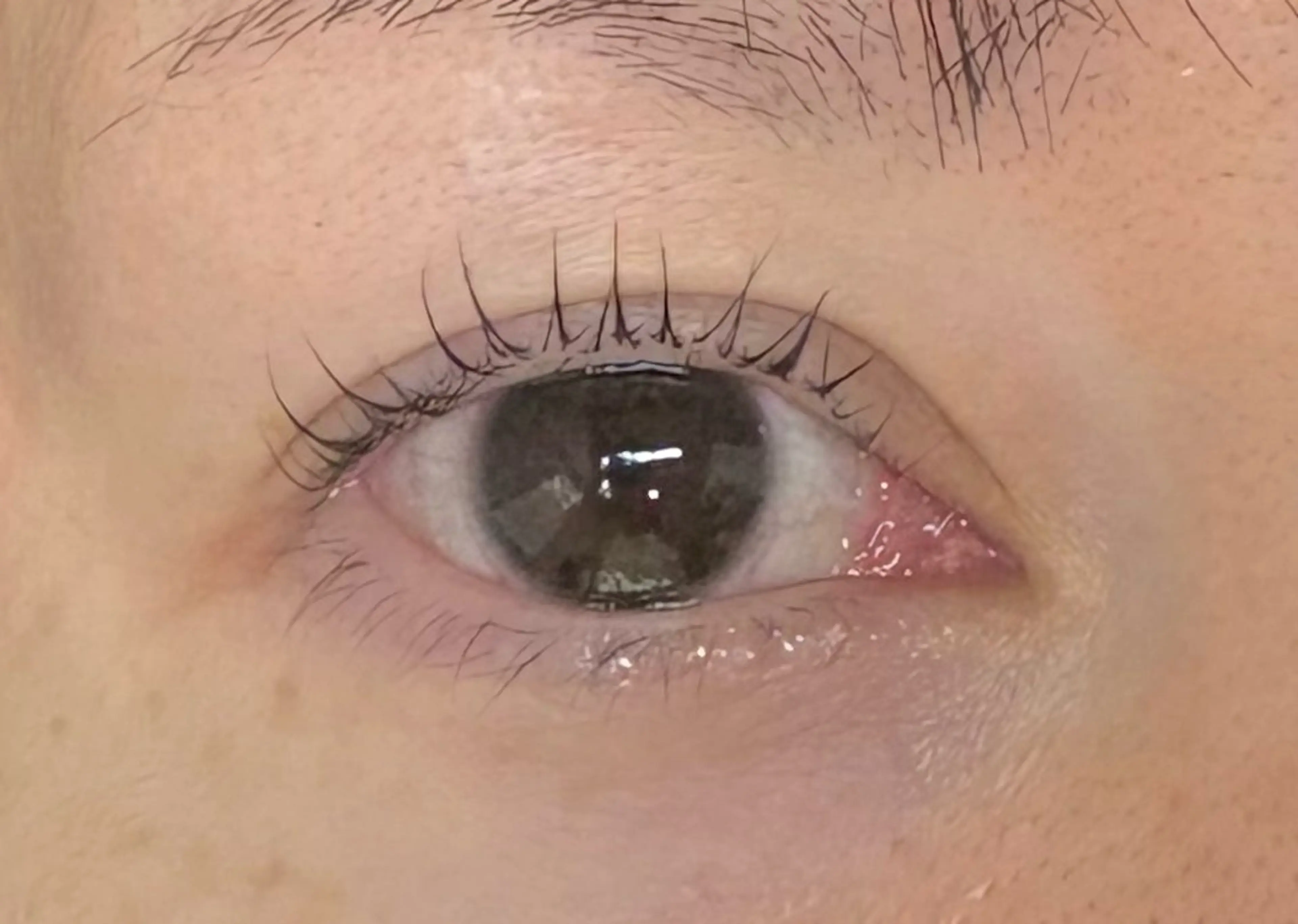 マツエク・マツパ Holus Moriguchiのマツエク・マツパデザイン