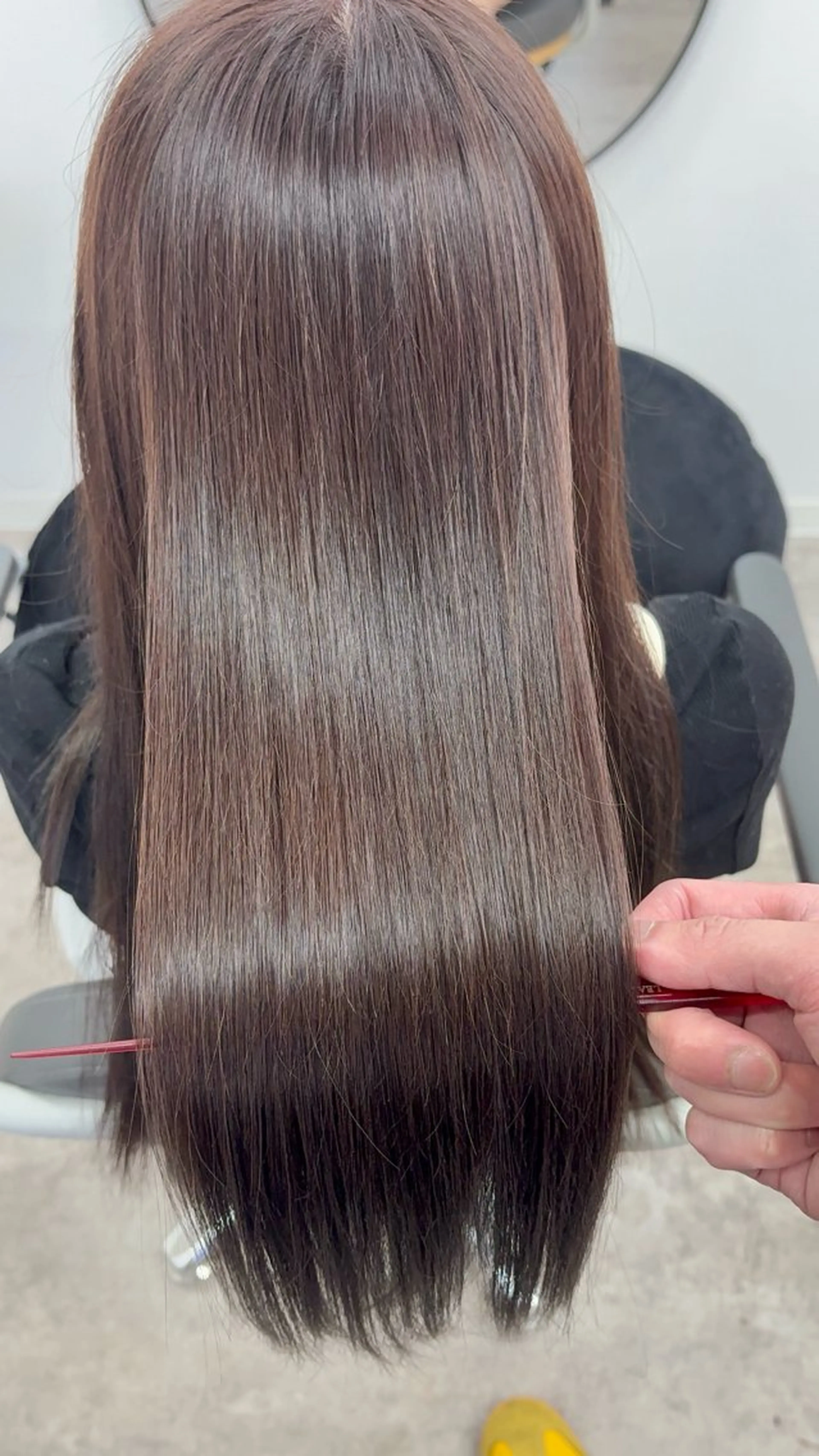 カラーのみの写真