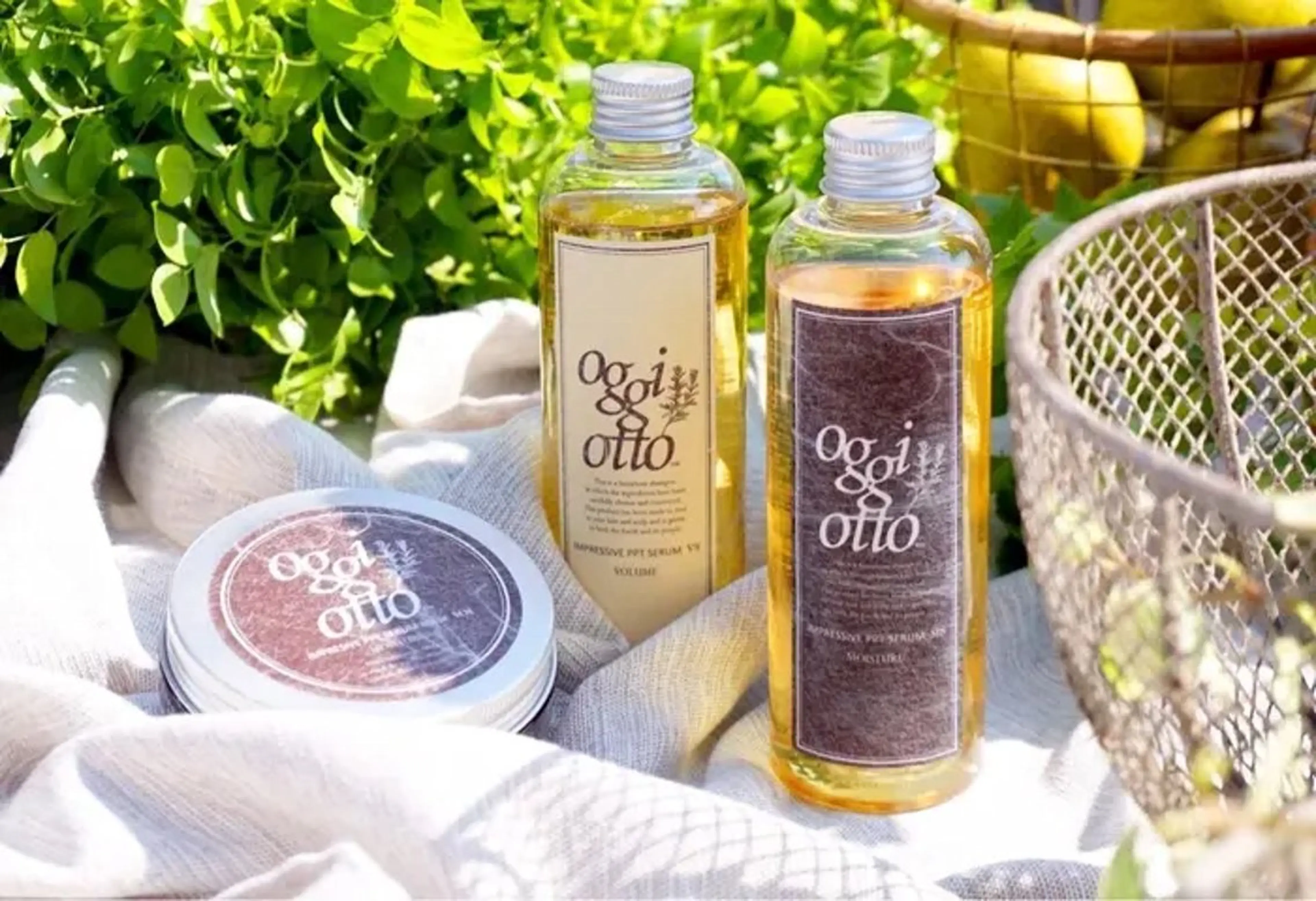 カット ヘッドスパ tocca🪴 ARISA🕊️のヘアスタイル