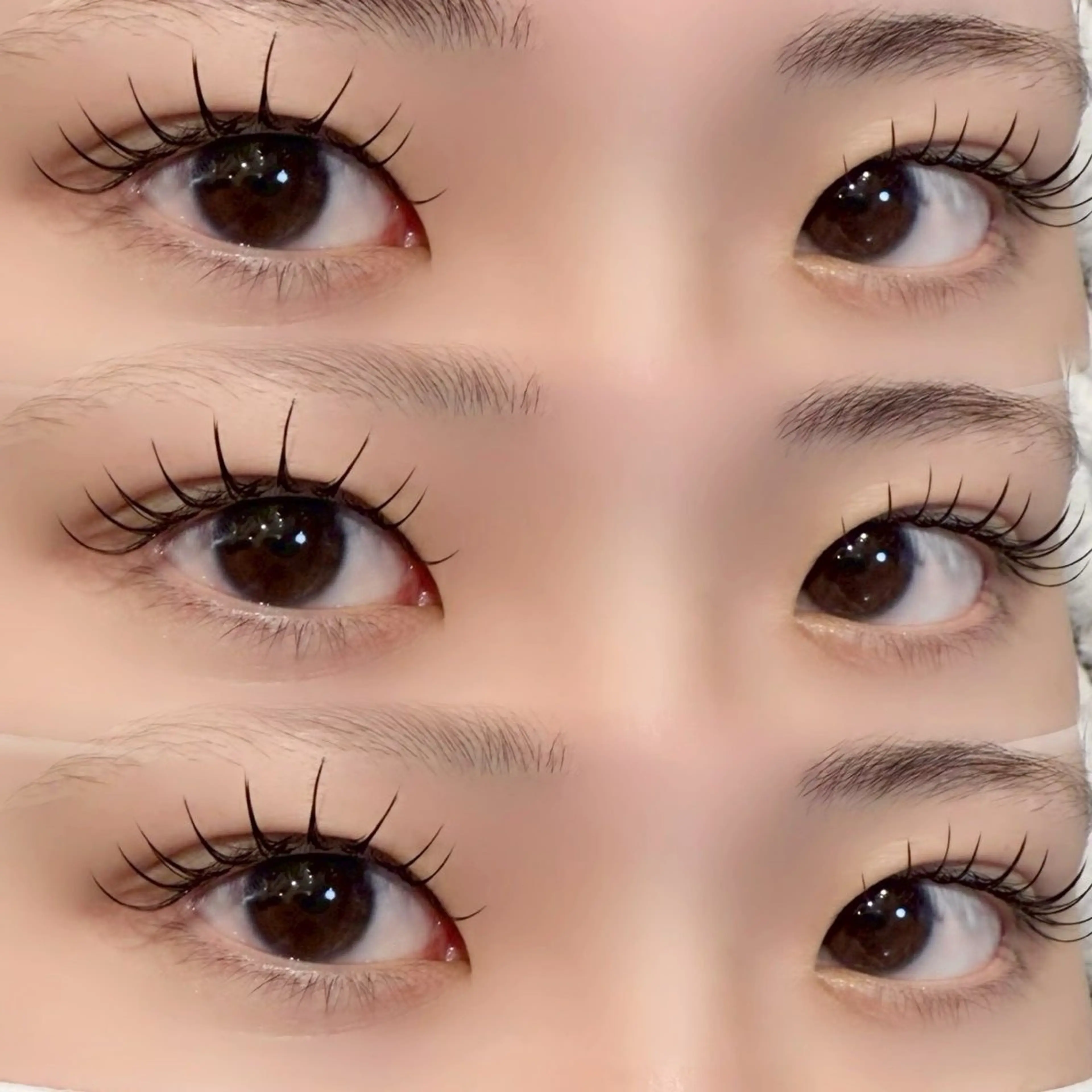 🌟まつエク🌟140本 オフ無料の写真