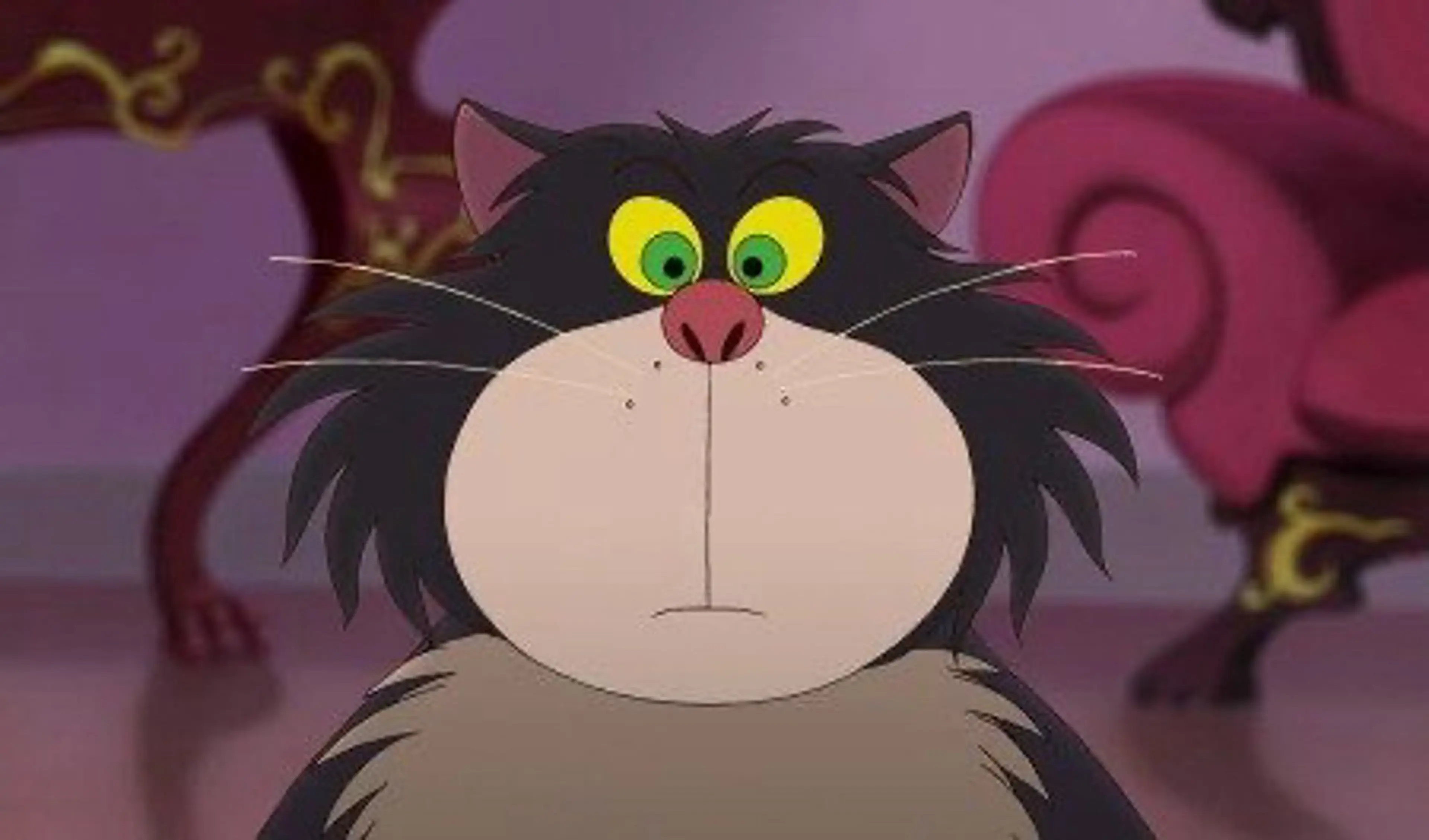 アイブロウ エサージュ町田店所属・🌷ecarg町田 みく🌷無料モデルのマツエク・マツパデザイン