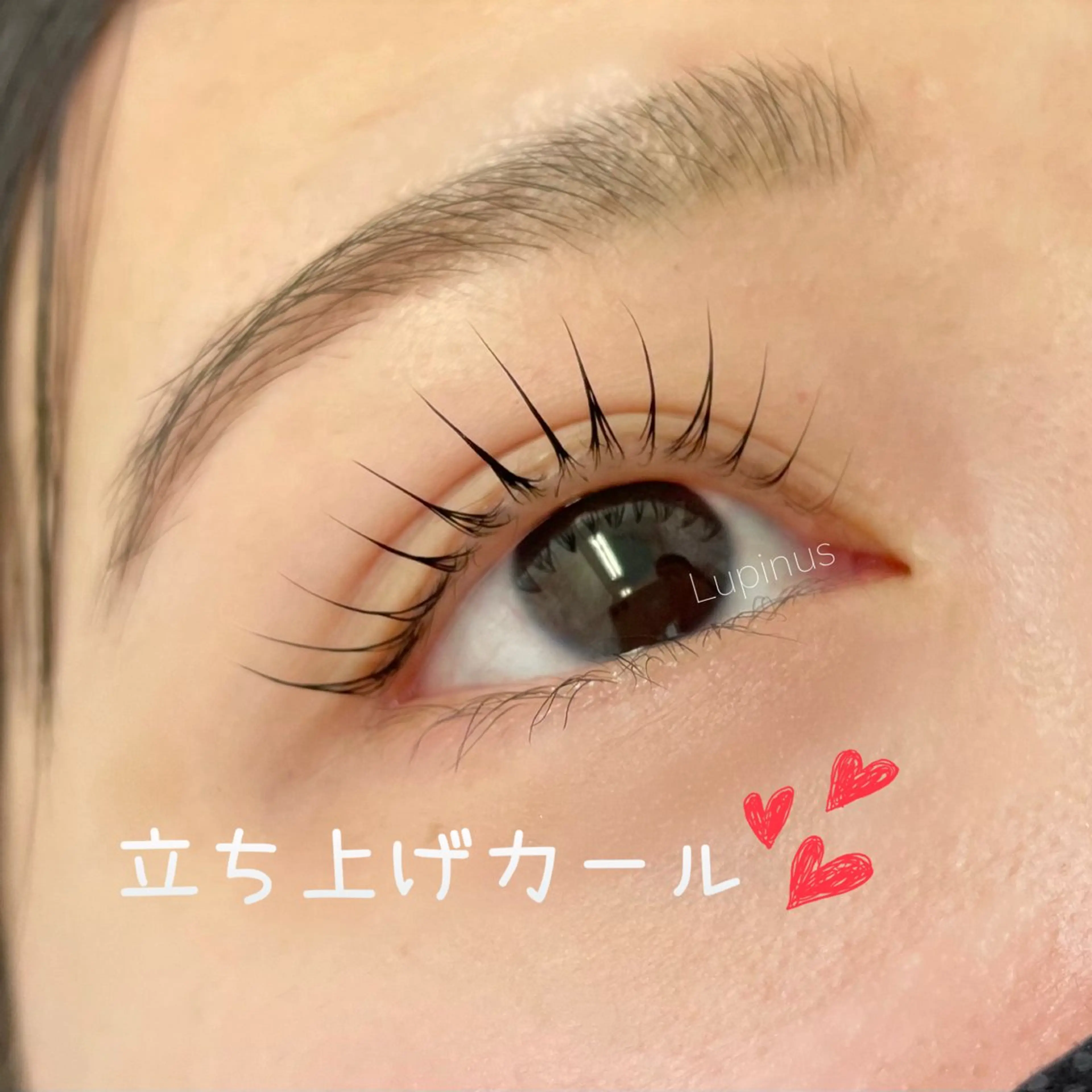 マツエク・マツパ ケラチンラッシュリフト EYELASH maia所属・maia harukaのマツエク・マツパデザイン