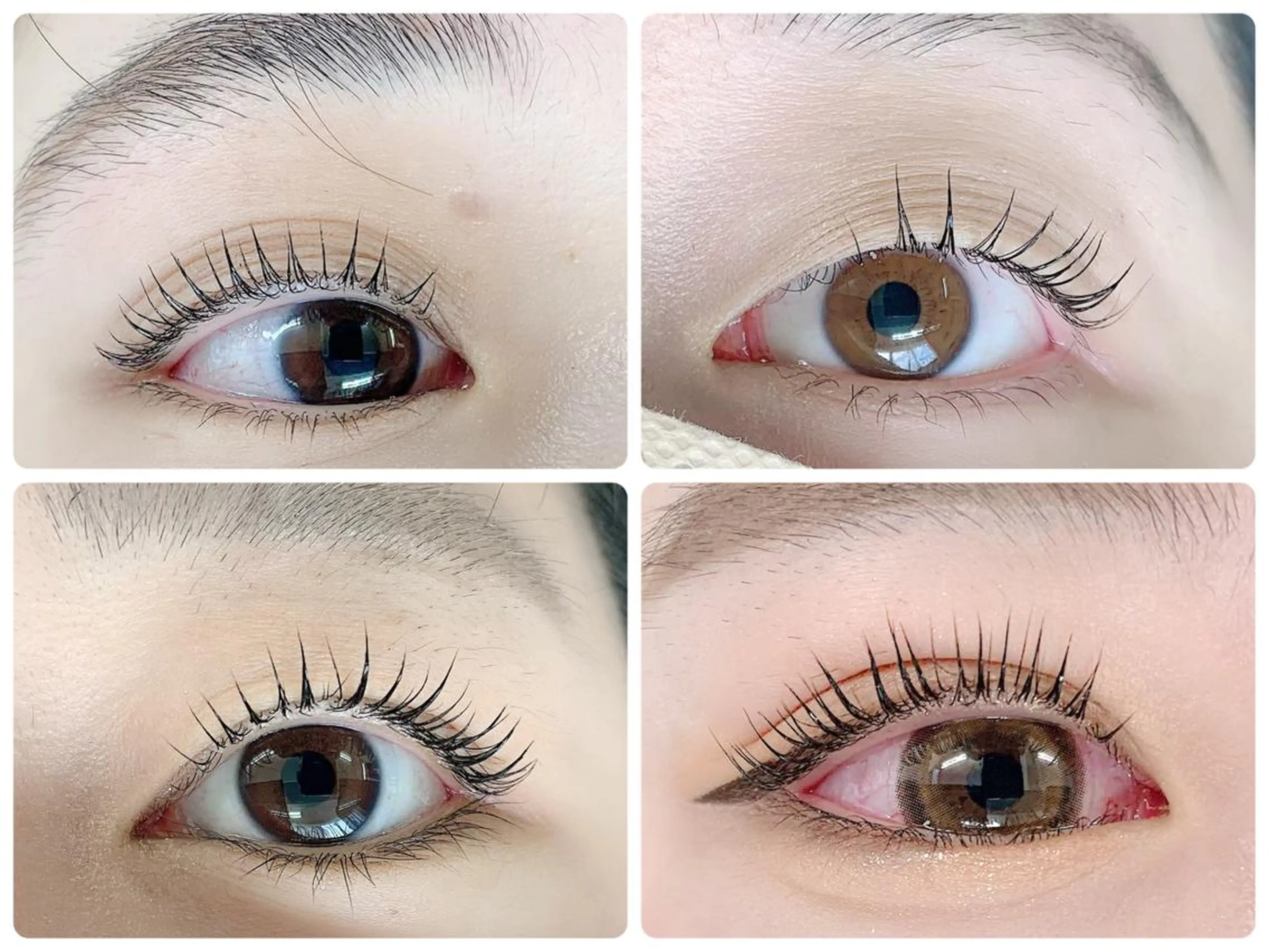 マツエク・マツパ teatree.. REINAのマツエク・マツパデザイン