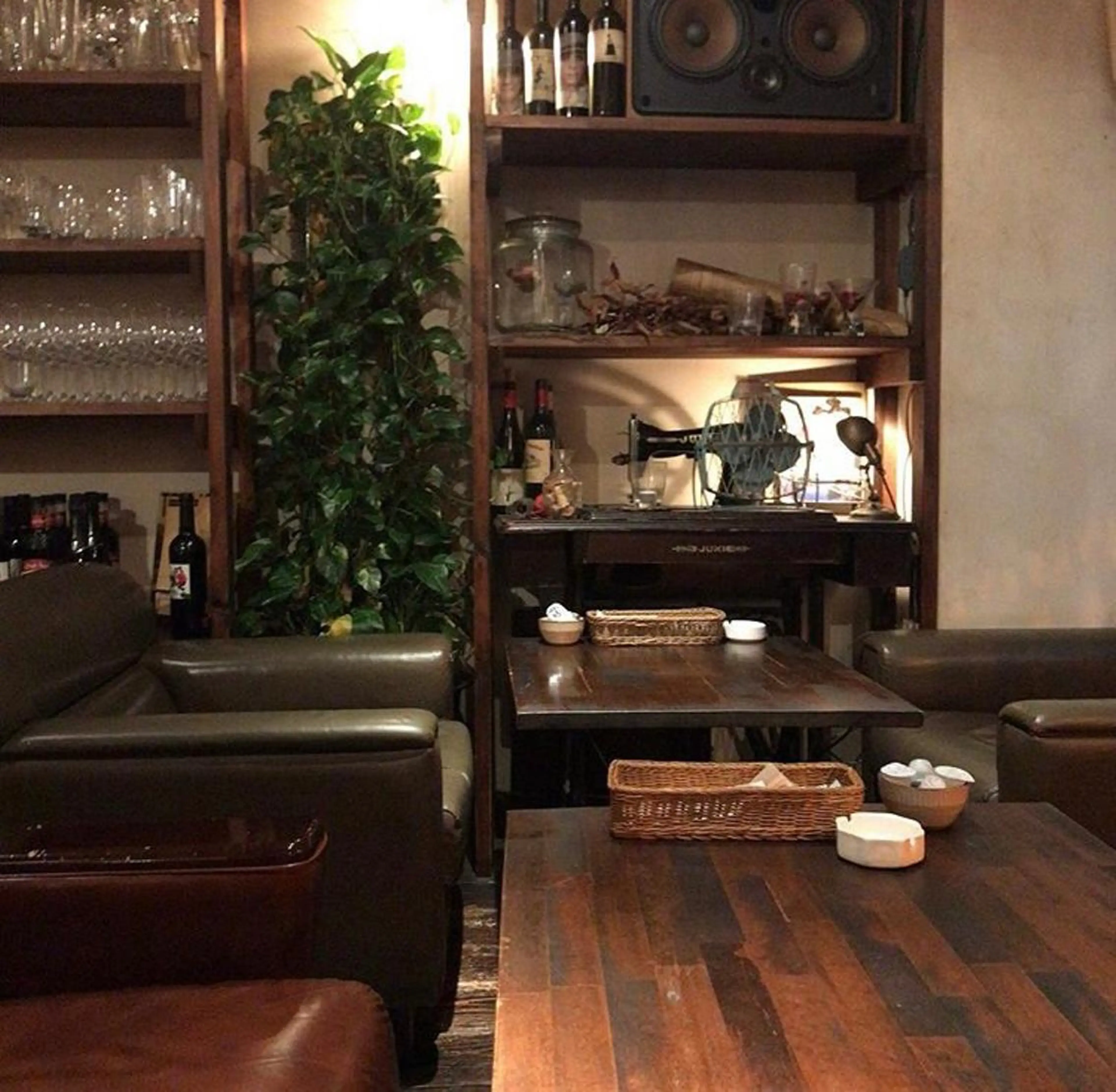 カラー インナーカラー nono/パーマ /顔まわりカット🐈のヘアスタイル