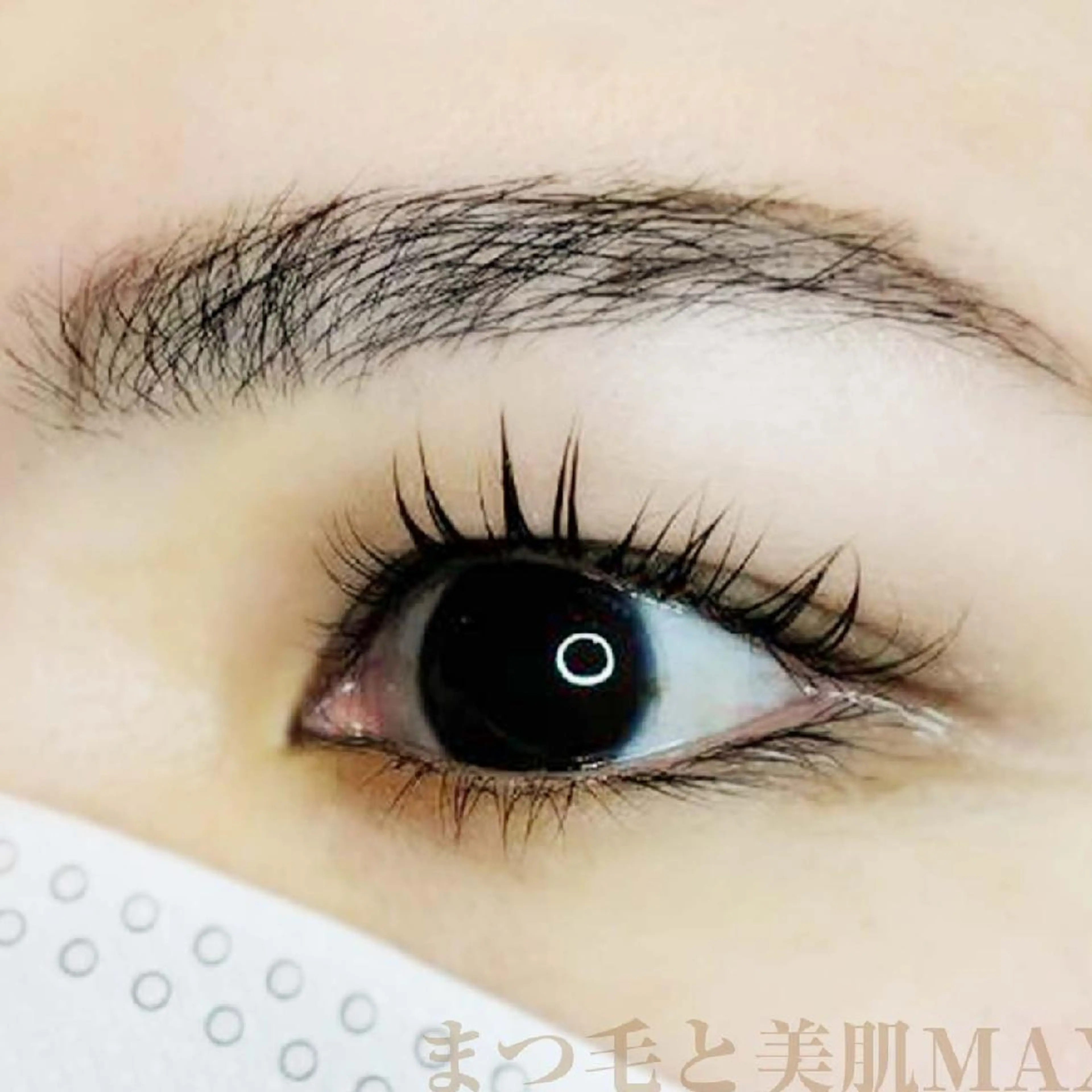 マツエク・マツパ MAXまつ毛&  フェイシャルのマツエク・マツパデザイン