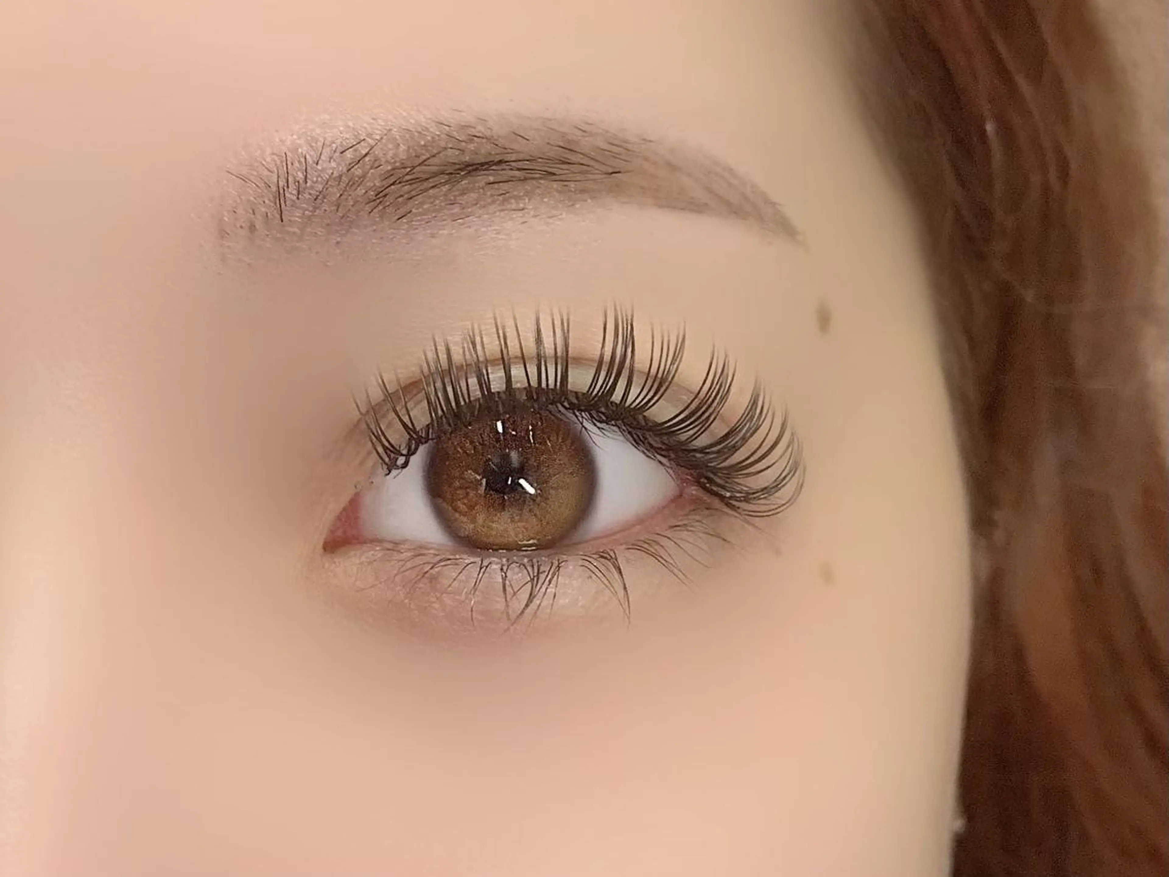 【セーブル上下】❕目元保湿アイパック＊ケア美容液付き👀の写真