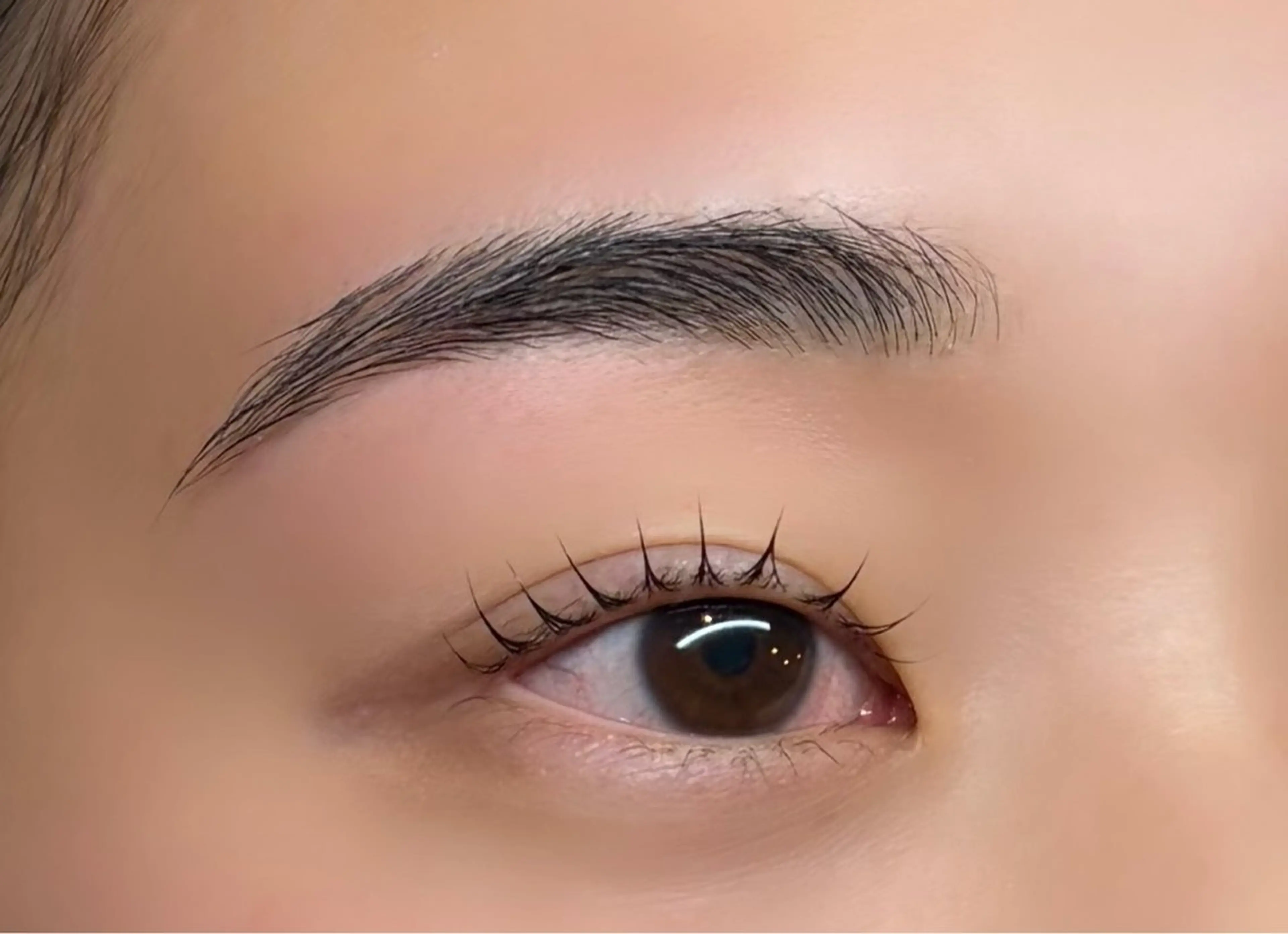 アイブロウワックス無料モデル🫧の写真