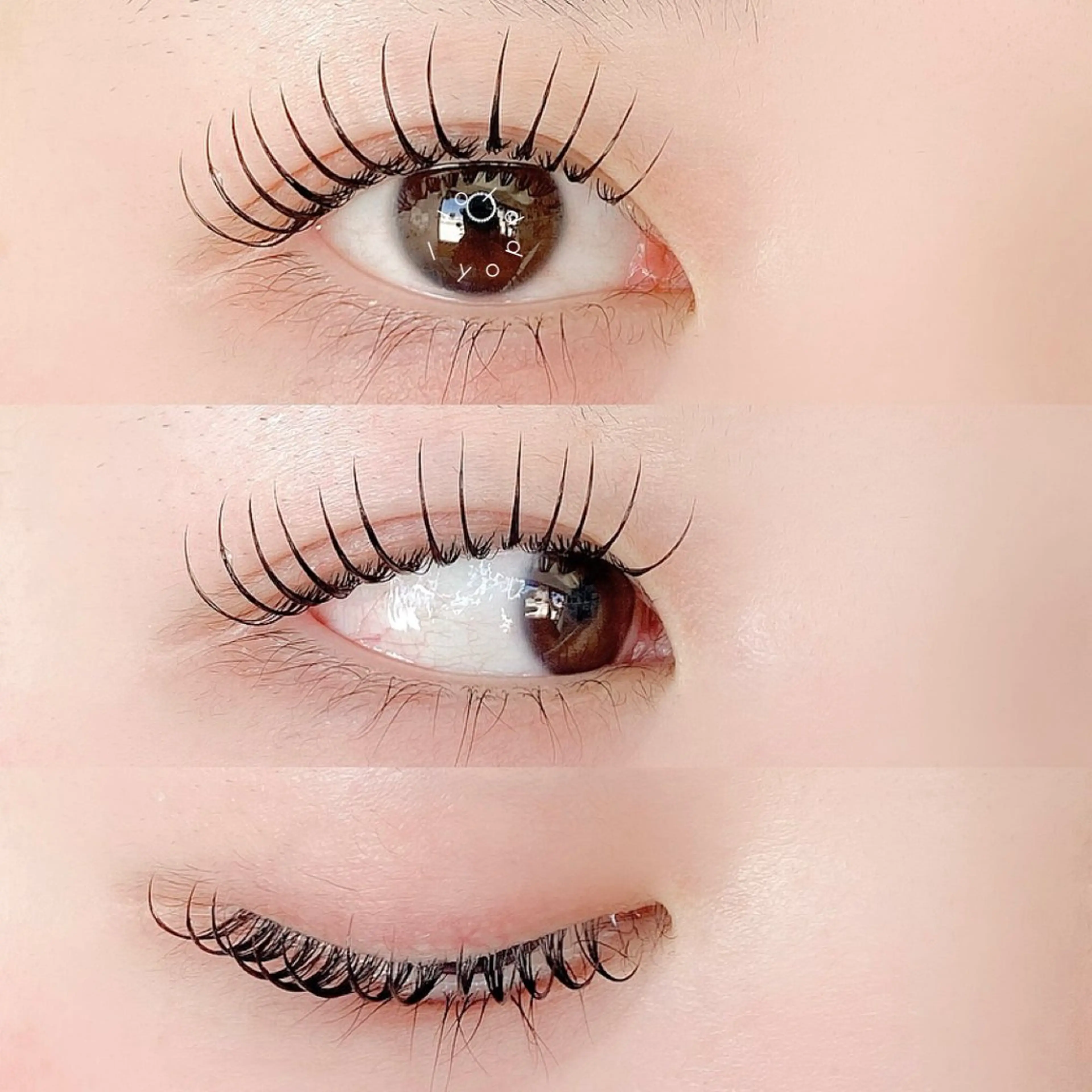 マツエク・マツパ or LATTe 仙台店のマツエク・マツパデザイン