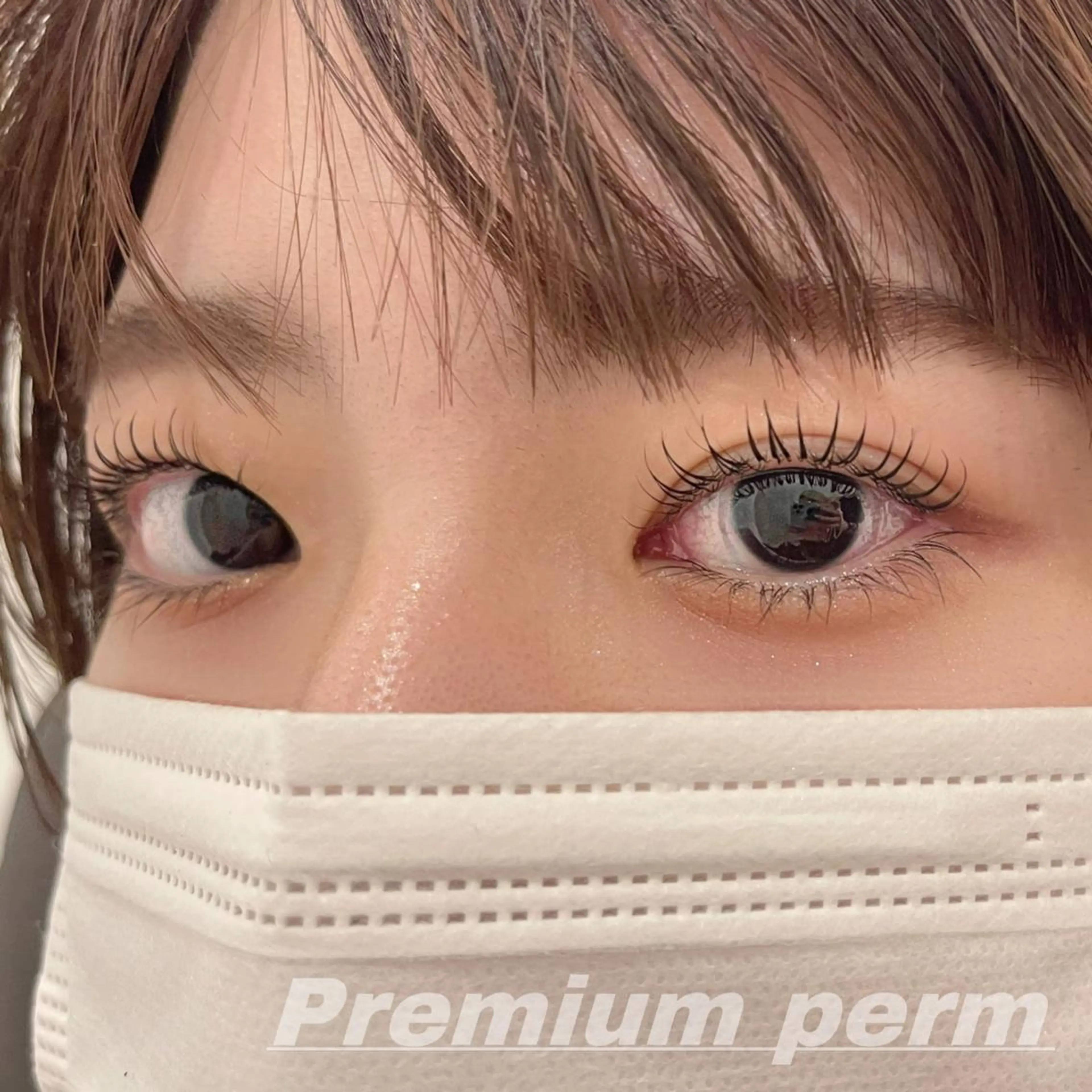 マツエク・マツパ 一重×まつ毛パーマ マツパ Eye ELSA lash栄店の眉毛・アイブロウイメージ