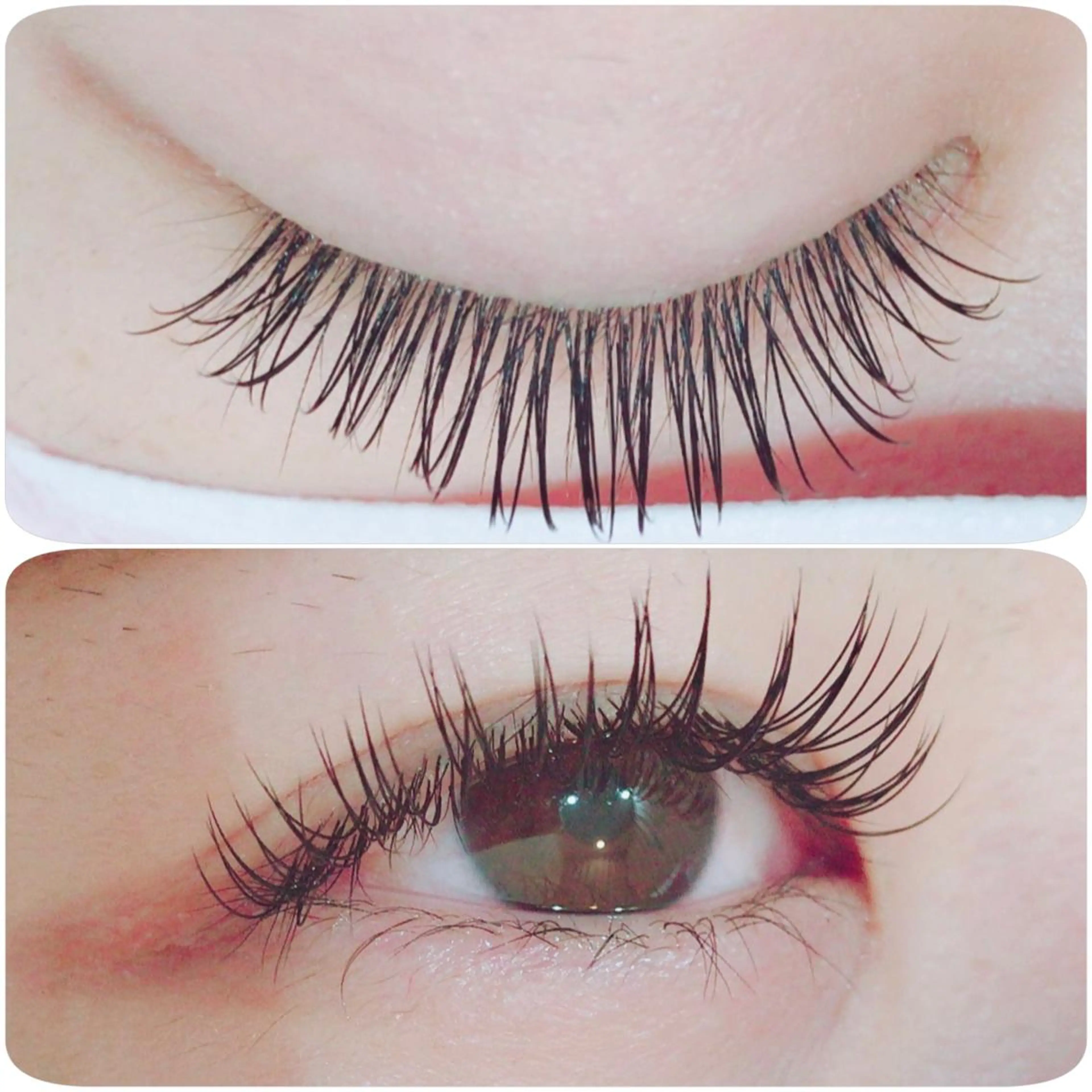 マツエク・マツパ Cカール キュート ルクール巻店 坂大 莉乃のマツエク・マツパデザイン