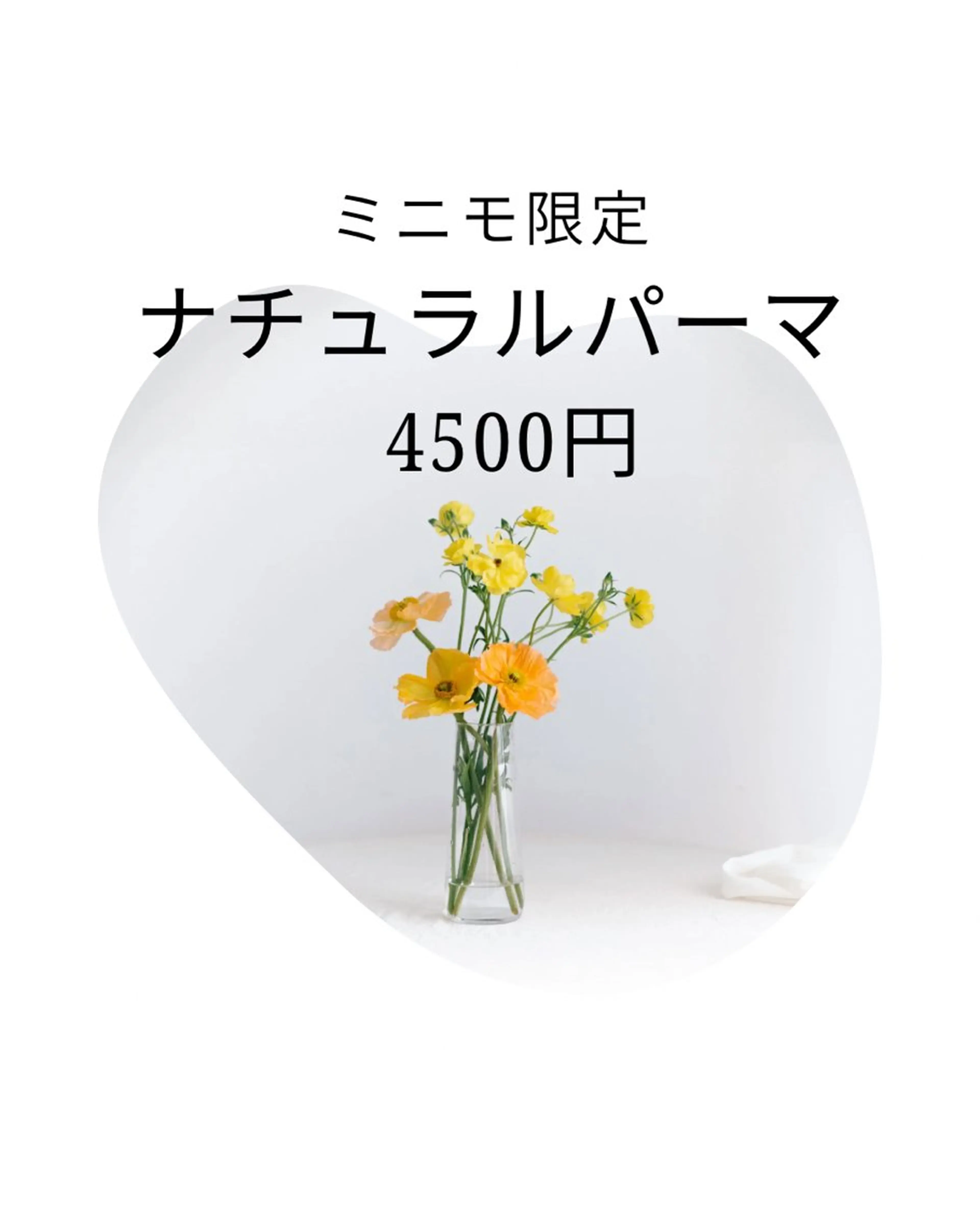 マツエク・マツパ nico所属・Shiho 🌼のマツエク・マツパデザイン