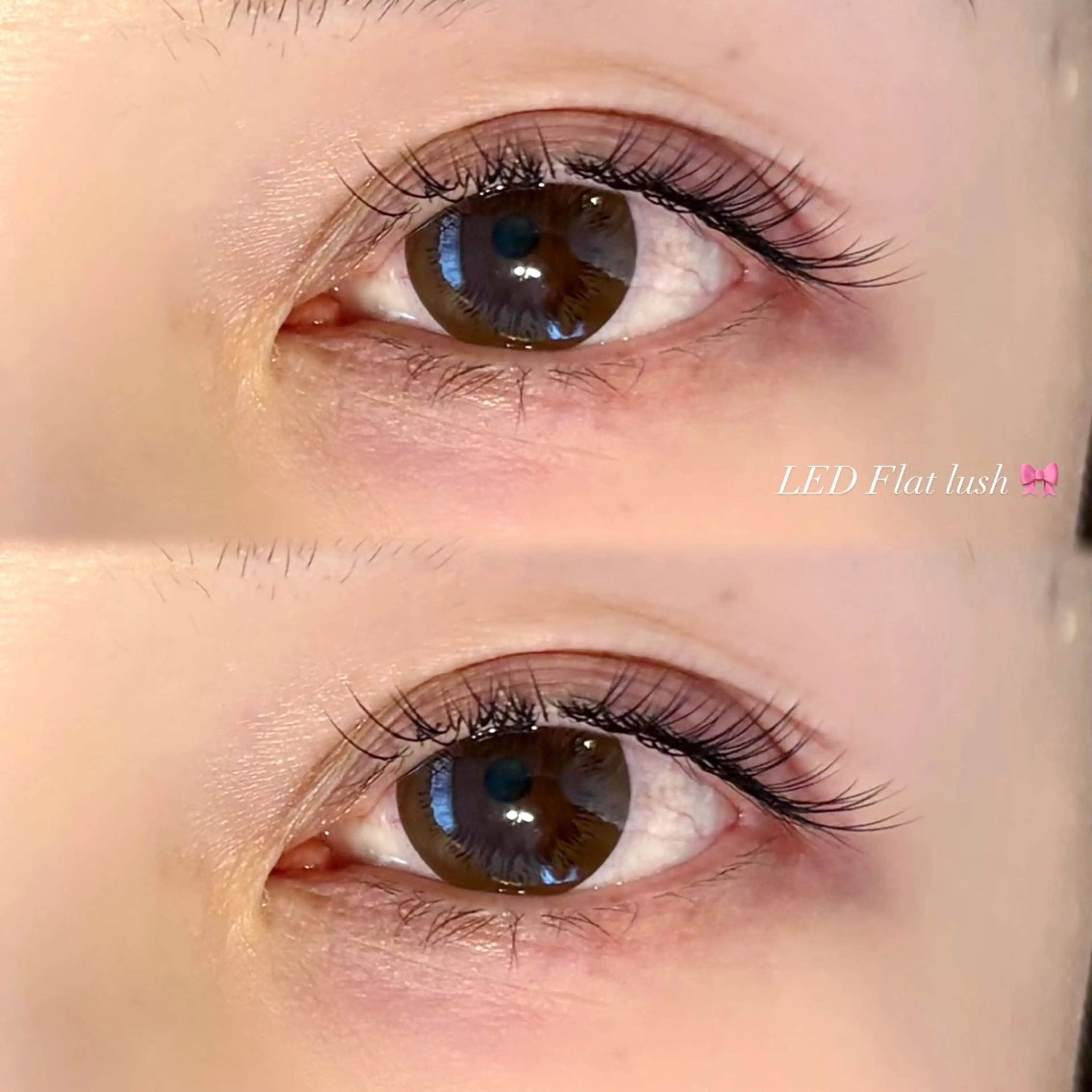 マツエク・マツパ フラットラッシュ マツエク EYELA 小築🐈‍⬛🤍のマツエク・マツパデザイン