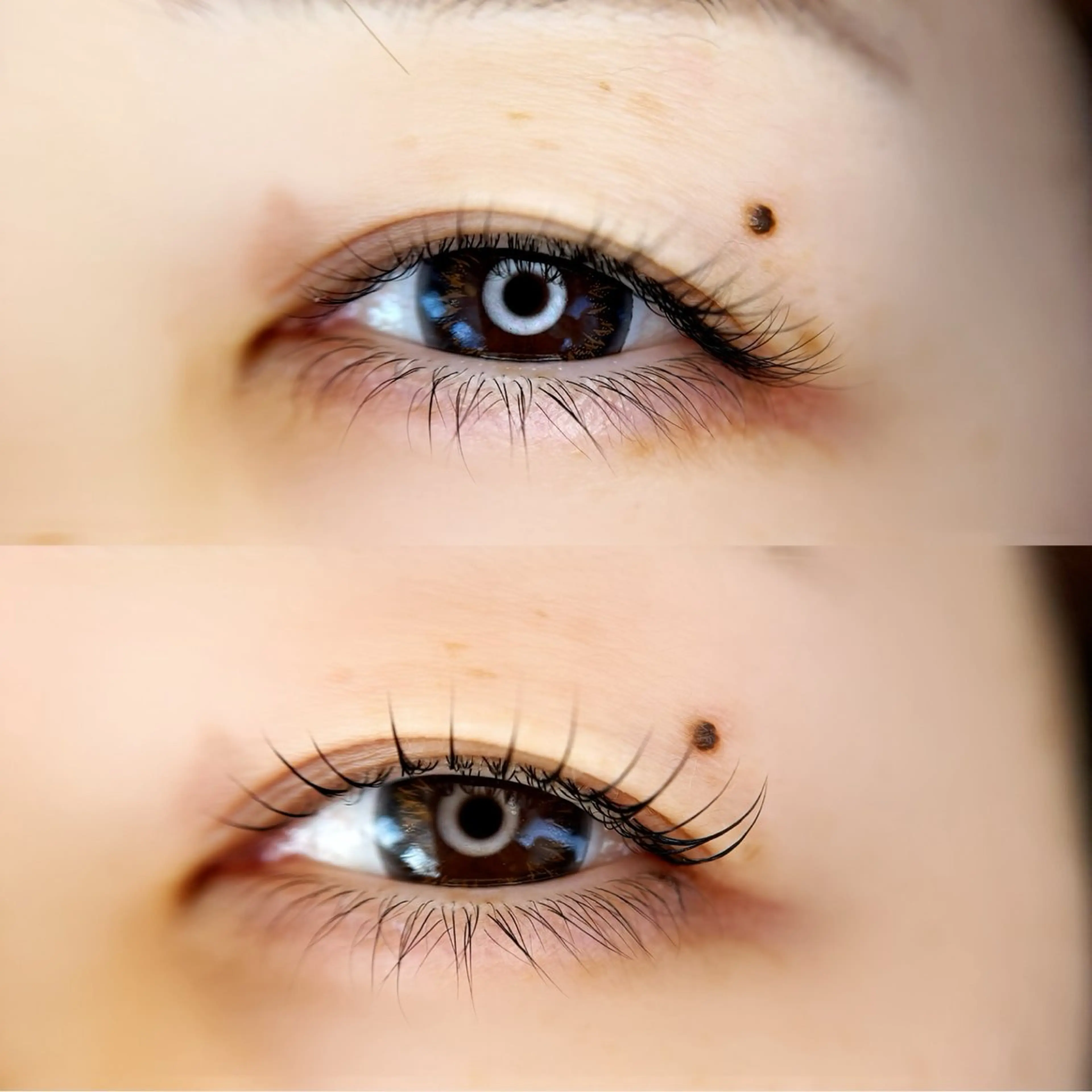 マツエク・マツパ ナチュラル 一重×まつ毛パーマ eclat所属・マツエク&まつ毛 パーマ　栄　美浪のマツエク・マツパデザイン