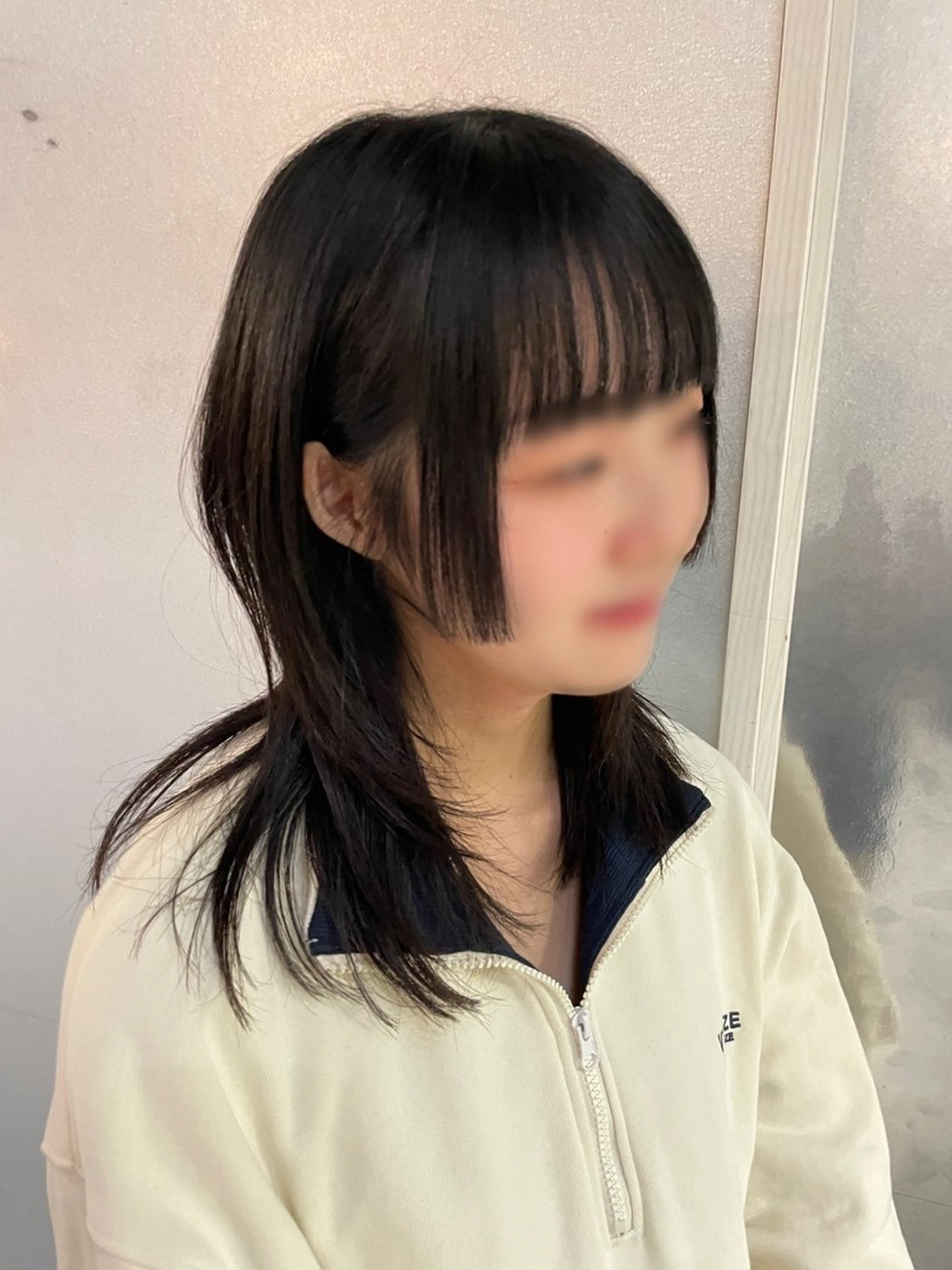 セミロング 姫カット レイヤーカット 韓国リアルハッシュ レイヤーカットのヘアスタイル