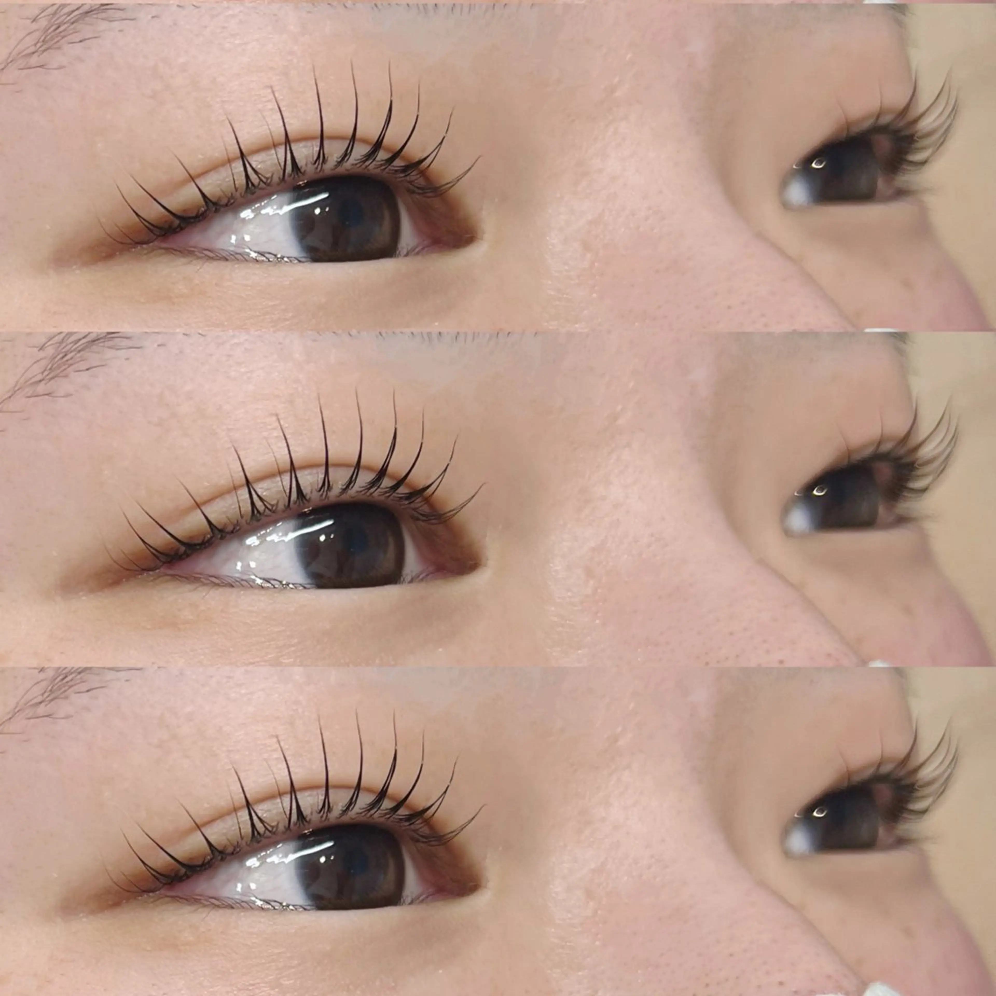 【ご新規様限定】パリジェンヌラッシュリフトの写真